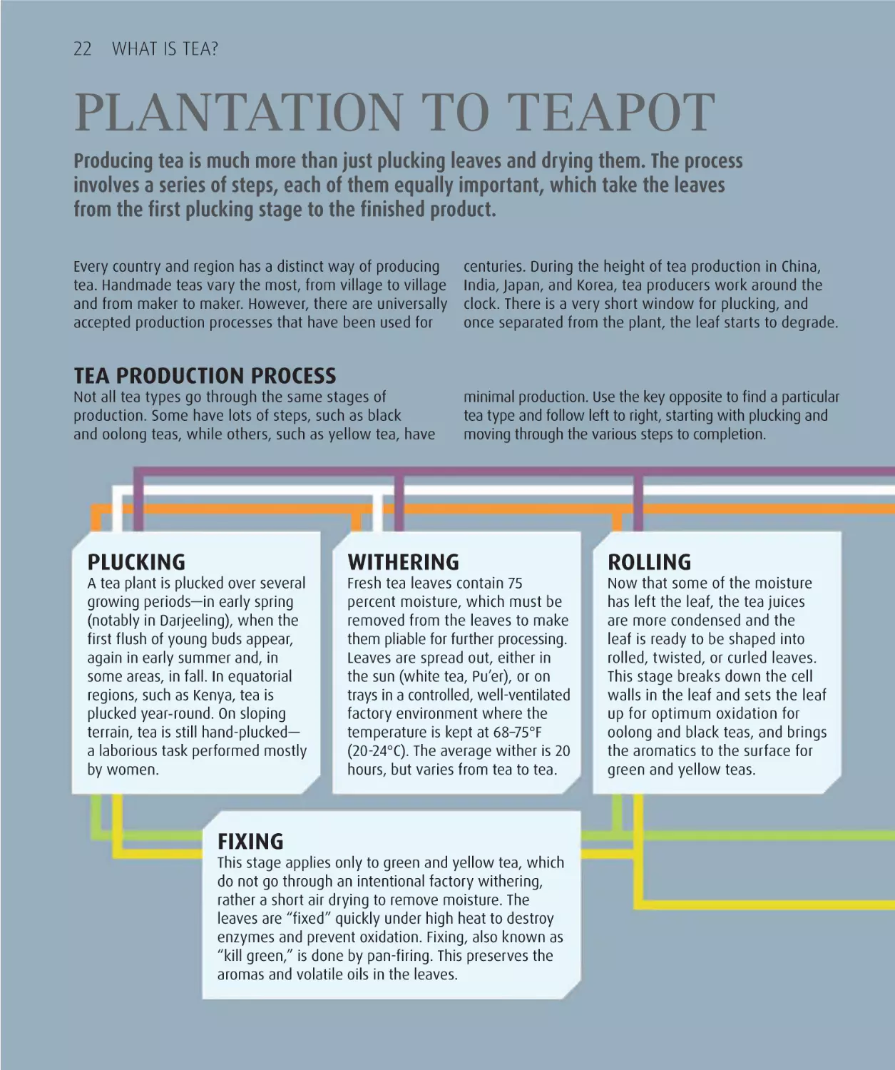 Plantation to teapot 22
