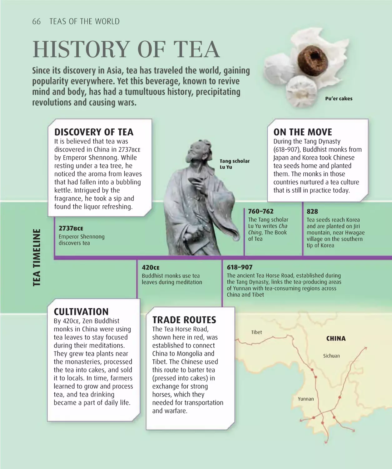 History of tea 66