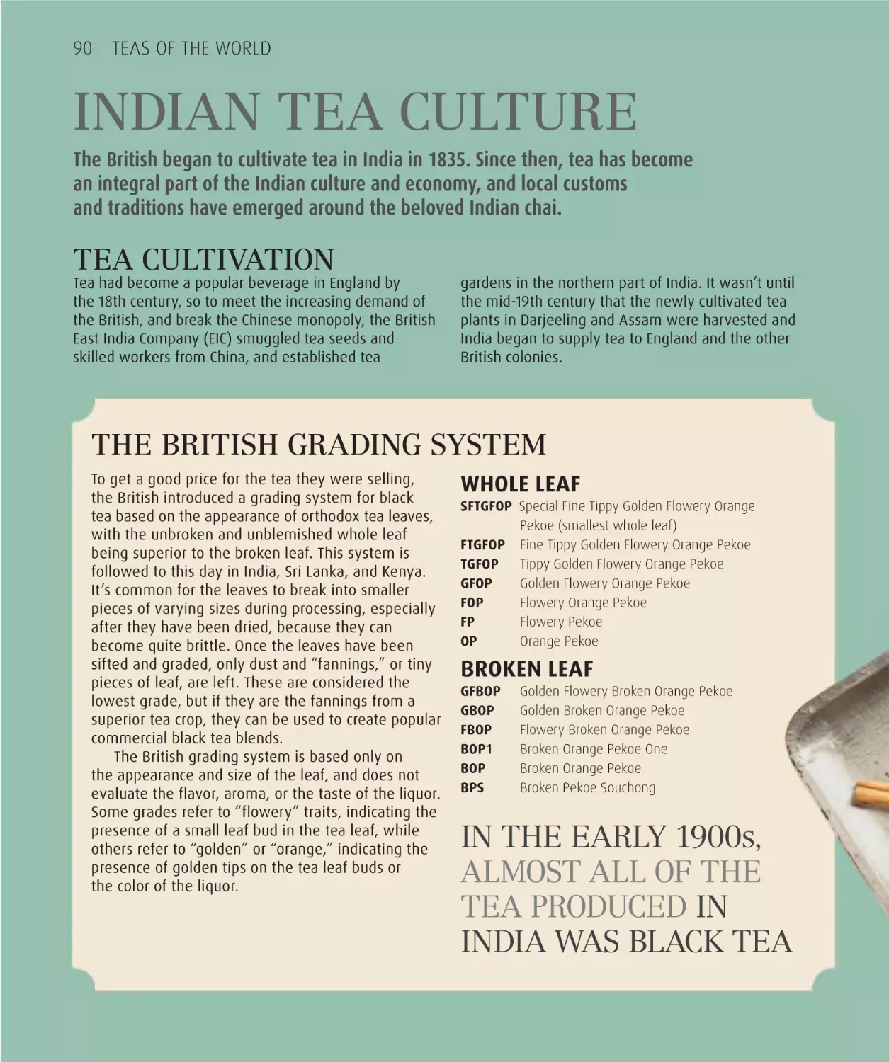 Indian tea culture 90