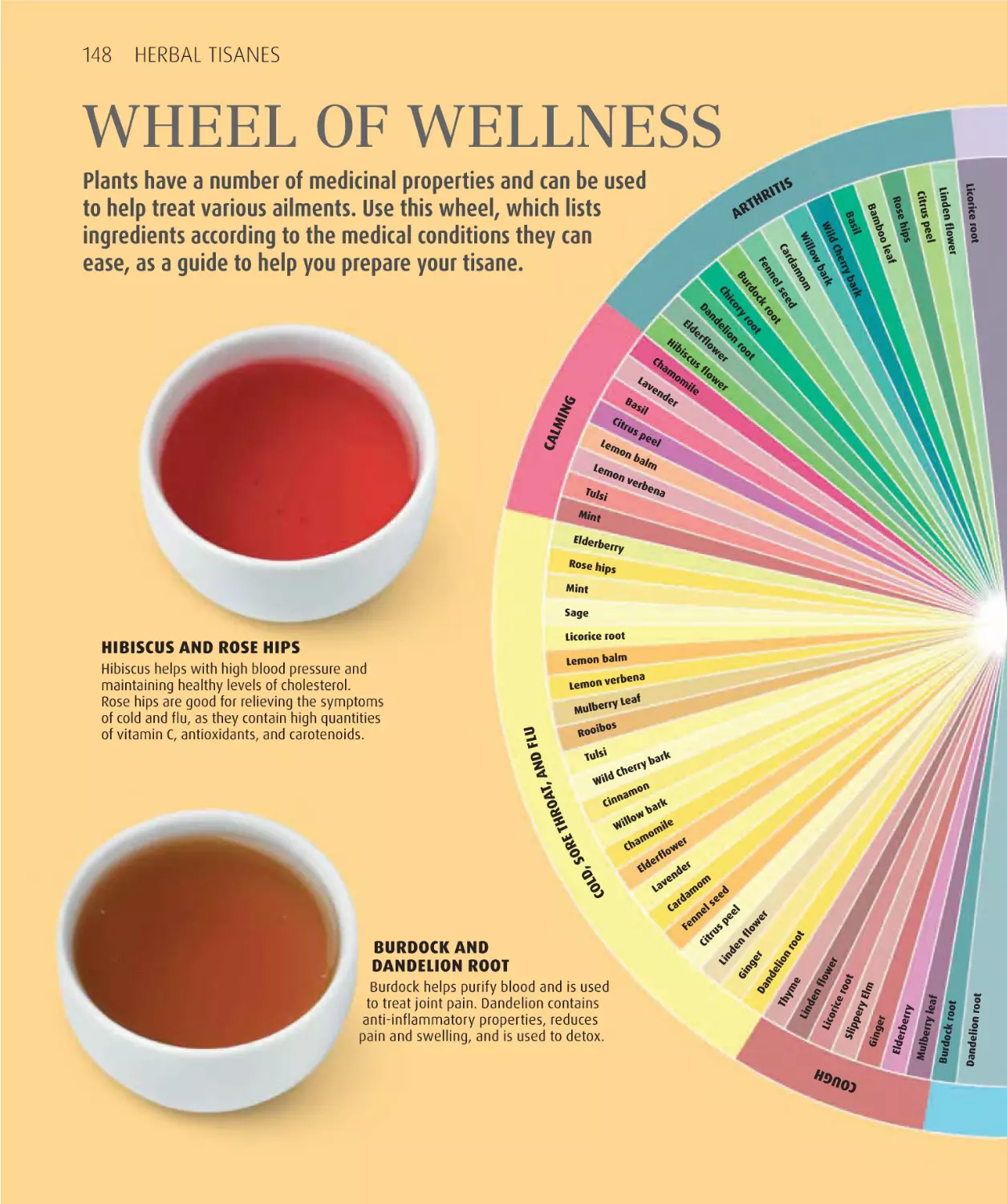 Wheel of wellness 148