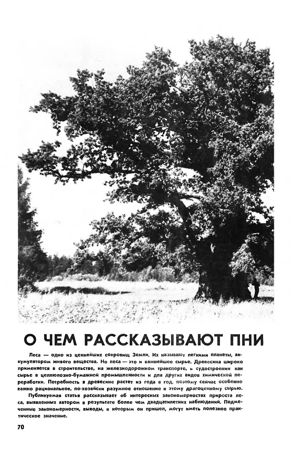 А. ЛИСЕЕВ — О чем рассказывают пни и срезы деревьев