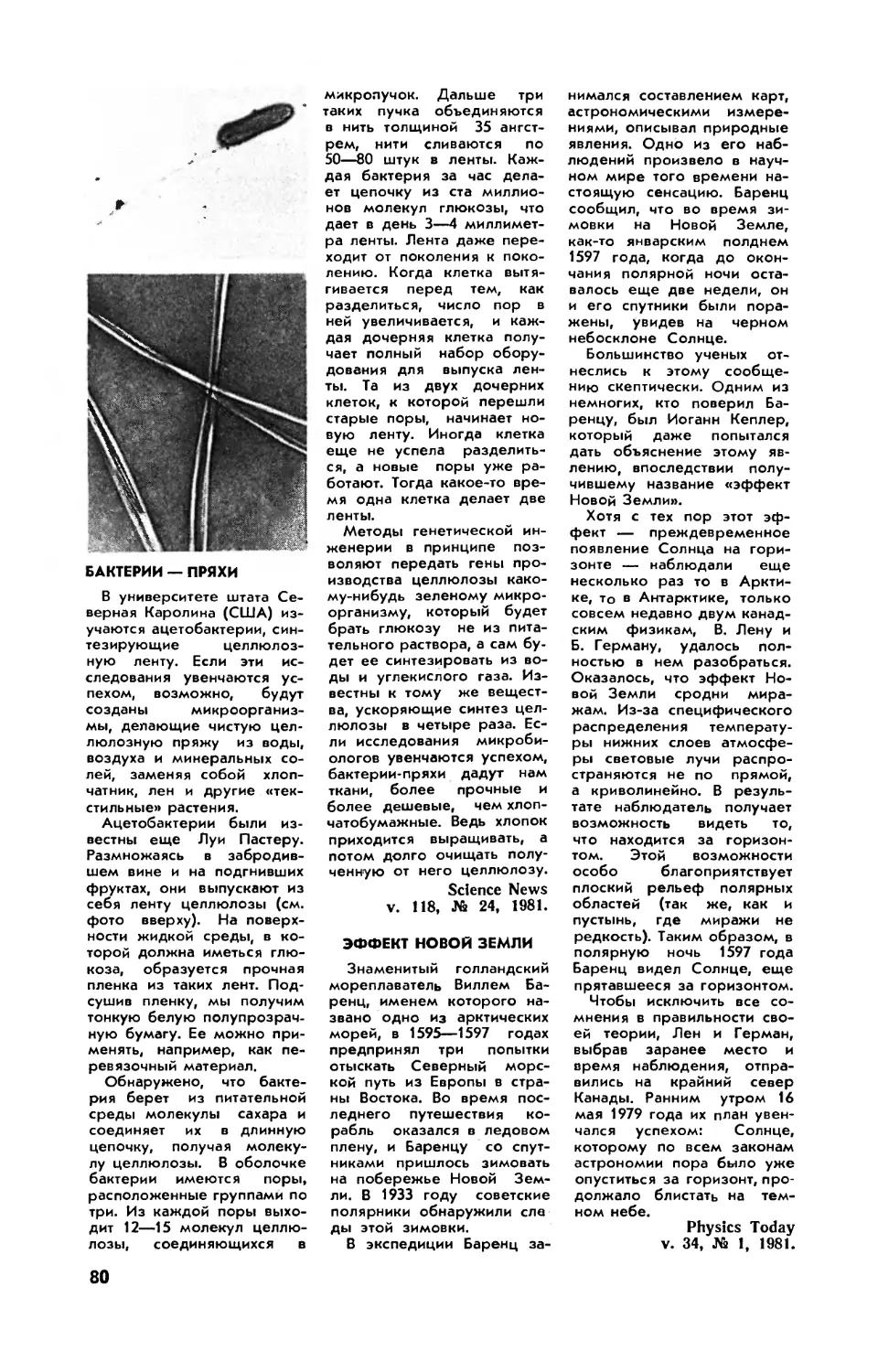 Бактерии — пряхи
Эффект Новой Земли