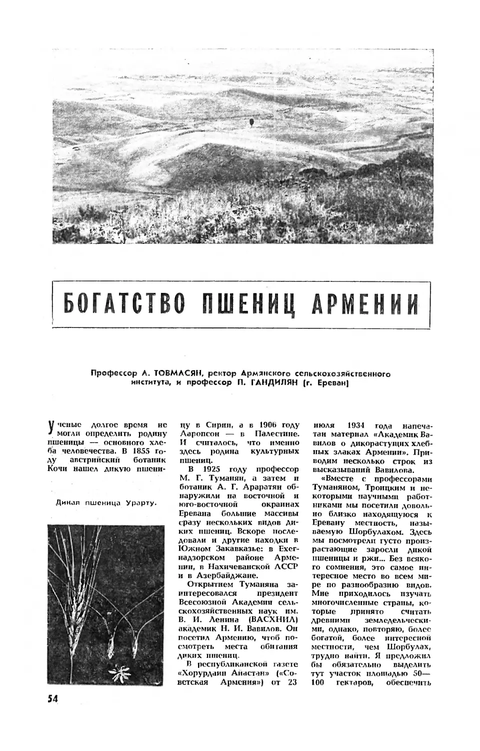 А. ТОВМАСЯН, проф. П. КАНДИЛЯН, проф. — Богатство пшениц Армении