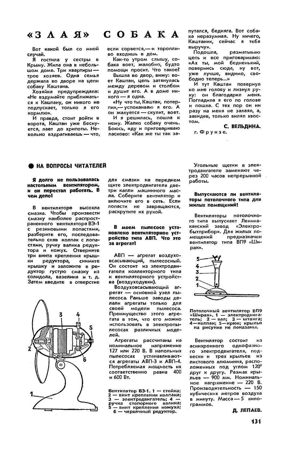 С. ВЕЛЬДИНА — \
Д. ЛЕПАЕВ — На вопросы читателей