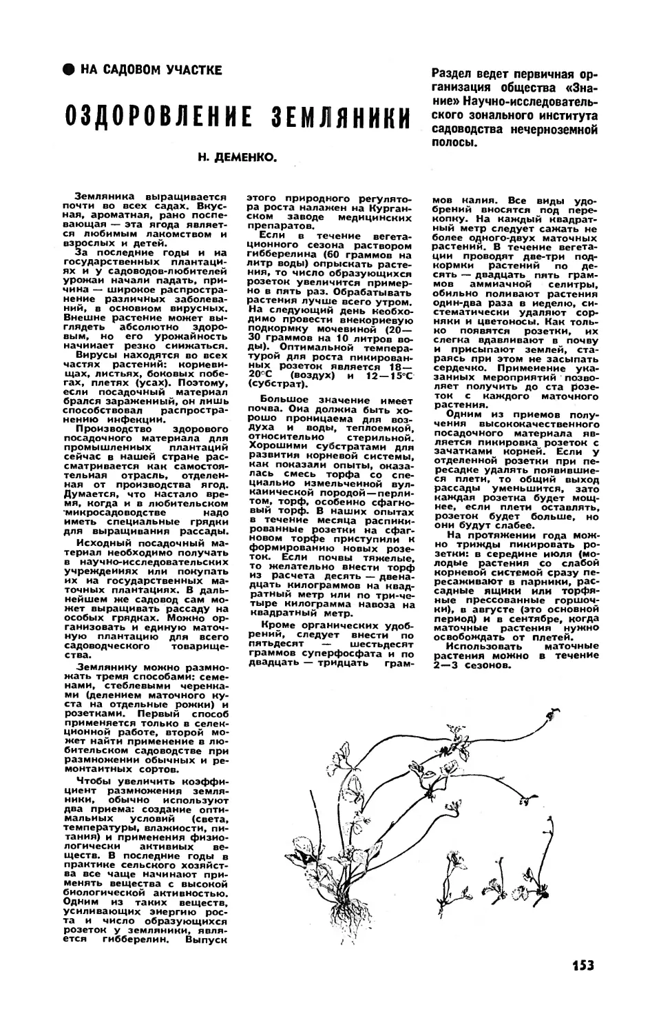 Н. ДЕМЕНКО — Оздоровление земляники