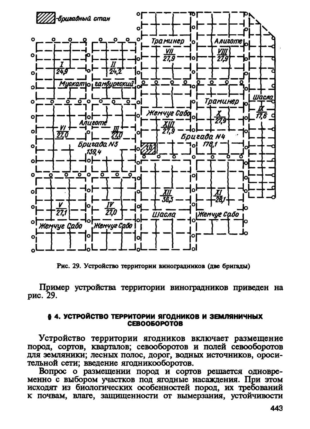 § 4. Устройство территории ягодников и земляничных севооборотов