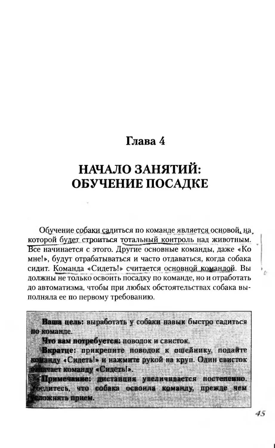 Глава 4
НАЧАЛО ЗАНЯТИЙ