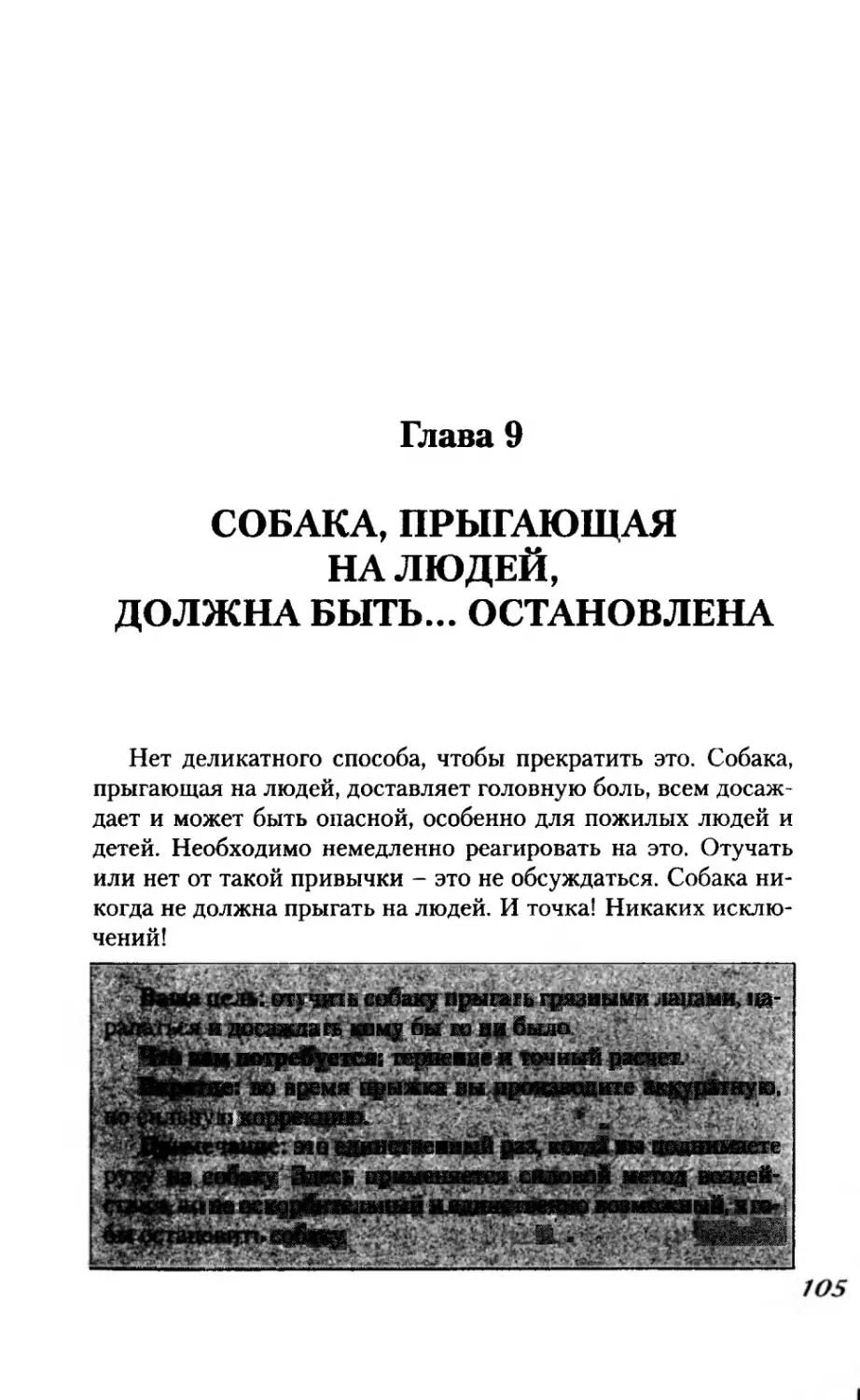 СОБАКА, ПРЫГАЮЩАЯ НА ЛЮДЕЙ, ДОЛЖНА БЫТЬ... ОСТАНОВЛЕНА