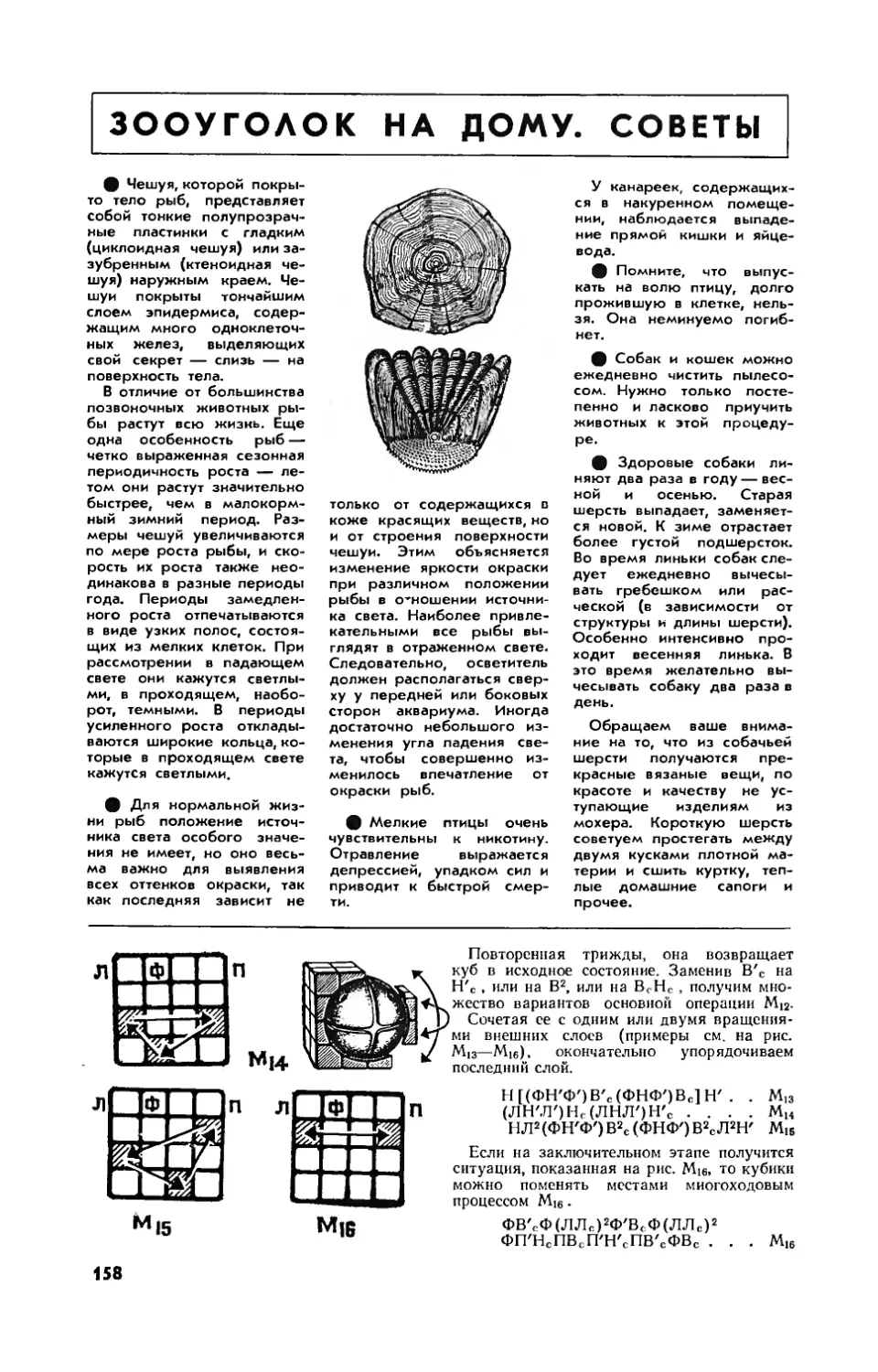 [Зооуголок на дому] — Зооуголок на дому. Советы