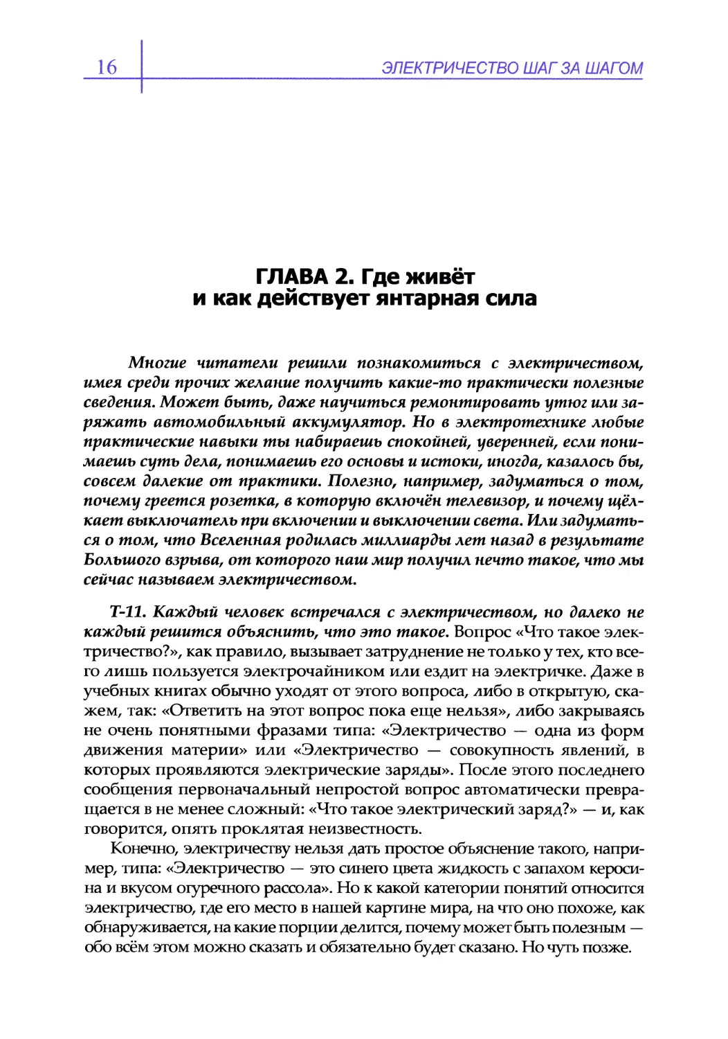 ГЛАВА 2. Где живёт и как действует янтарная сила
Т-11. Каждый человек встречался с электричеством, но далеко не каждый решится объяснить, что это такое