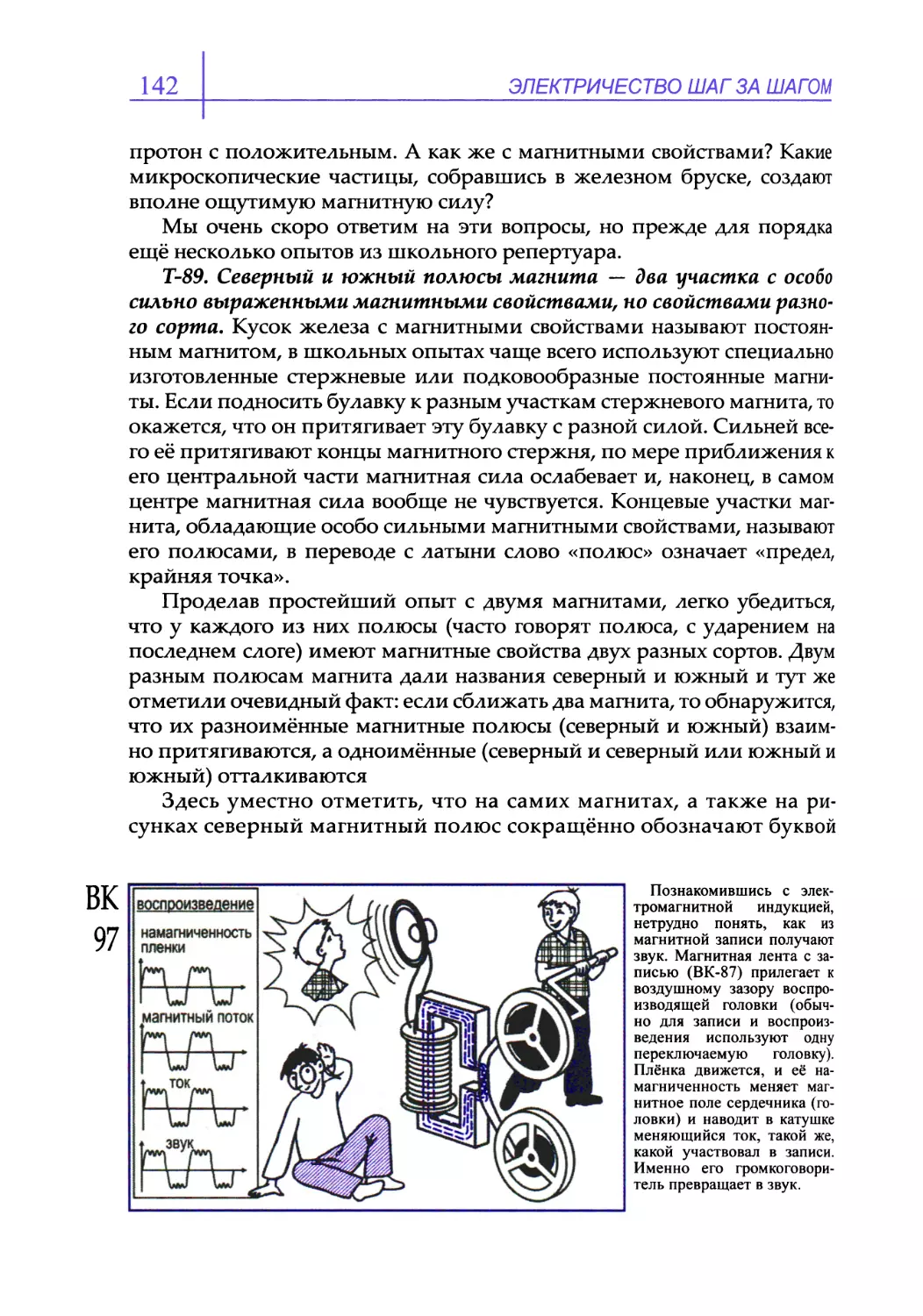 Т-89. Северный и южный полюсы магнита — два участка с особо сильно выраженными магнитными свойствами, но свойствами разного сорта