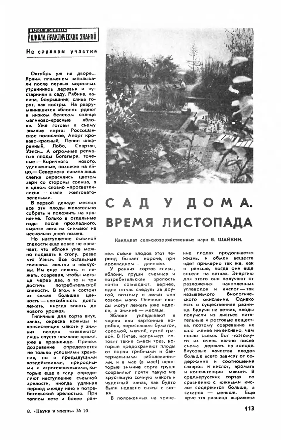 В. ШАЙКИН, канд. сельхоз. наук — Сад у дома. Время листопада