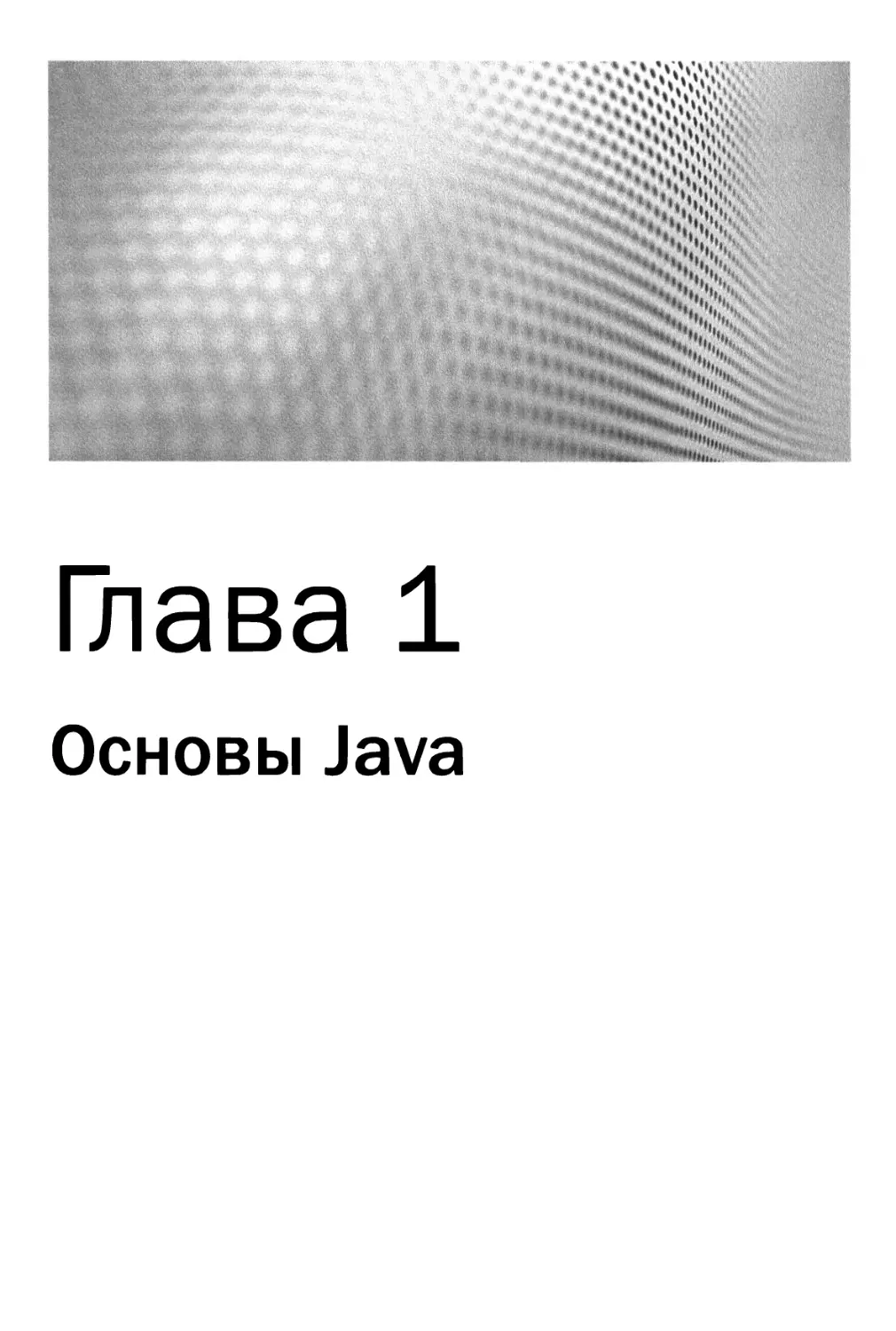 Глава 1. Основы Java