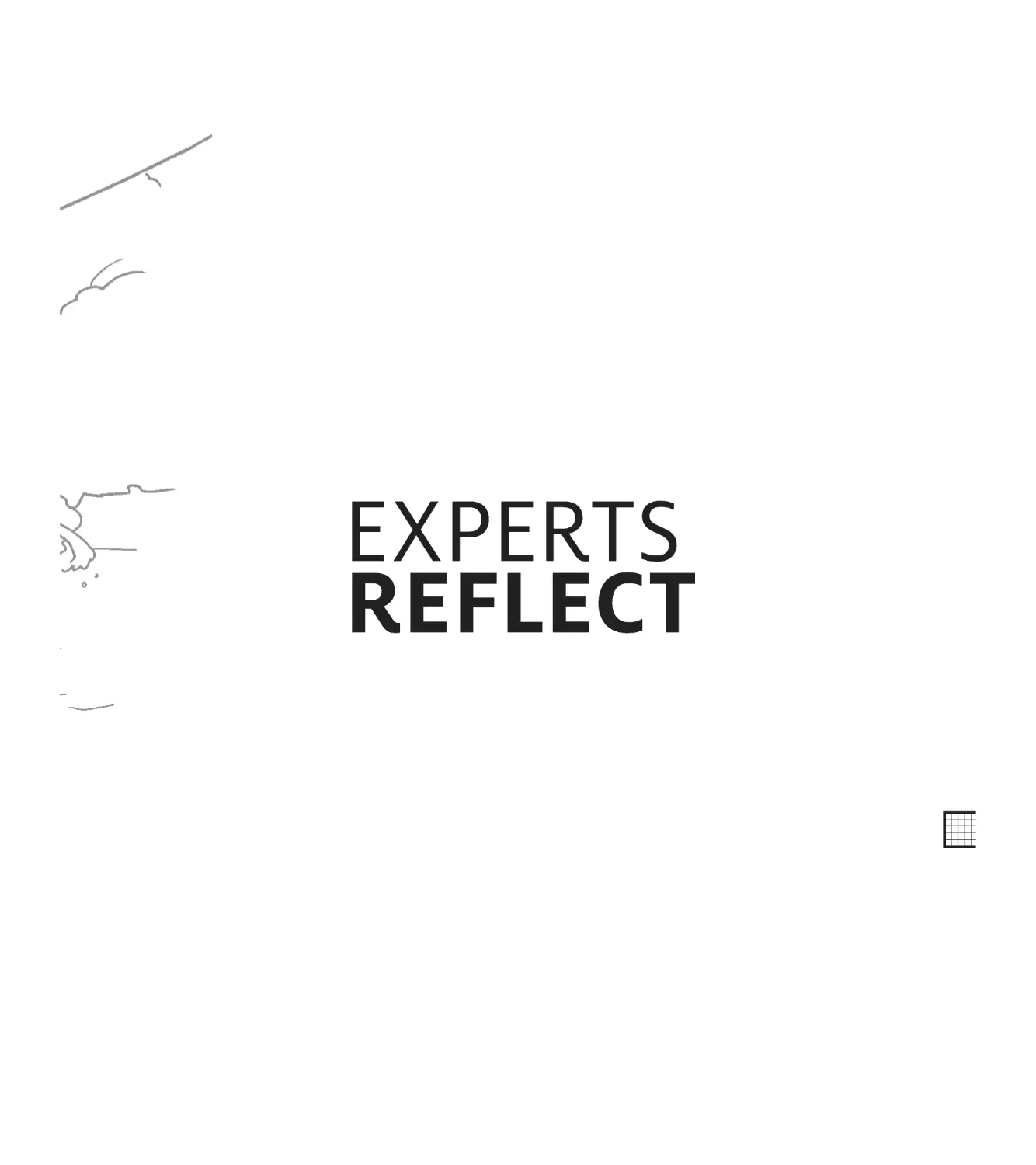 Experts Reflect