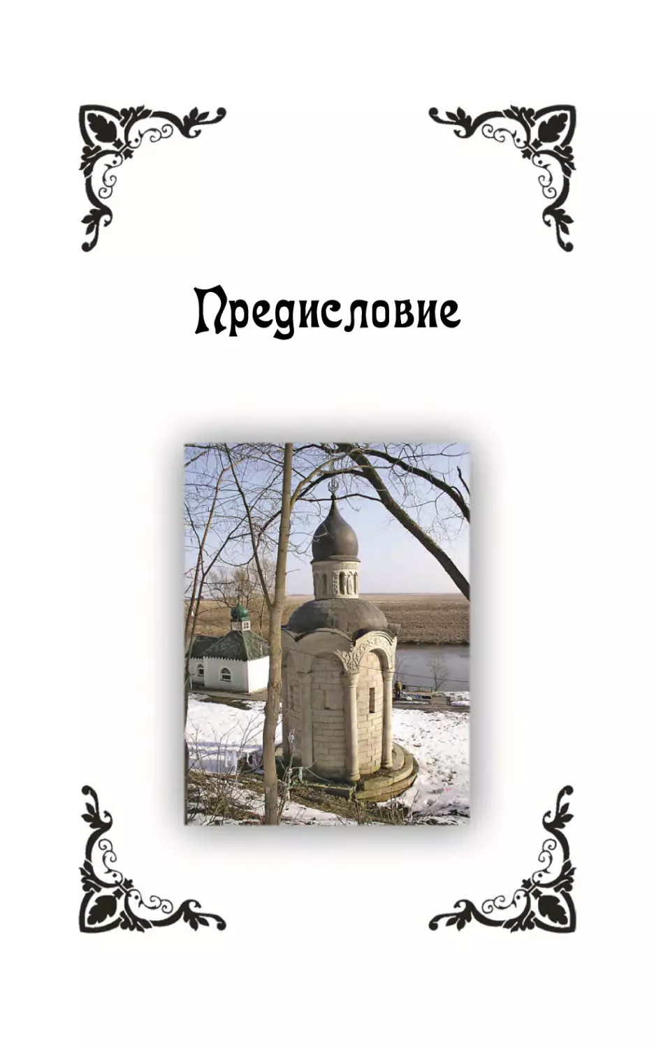 Предисловие