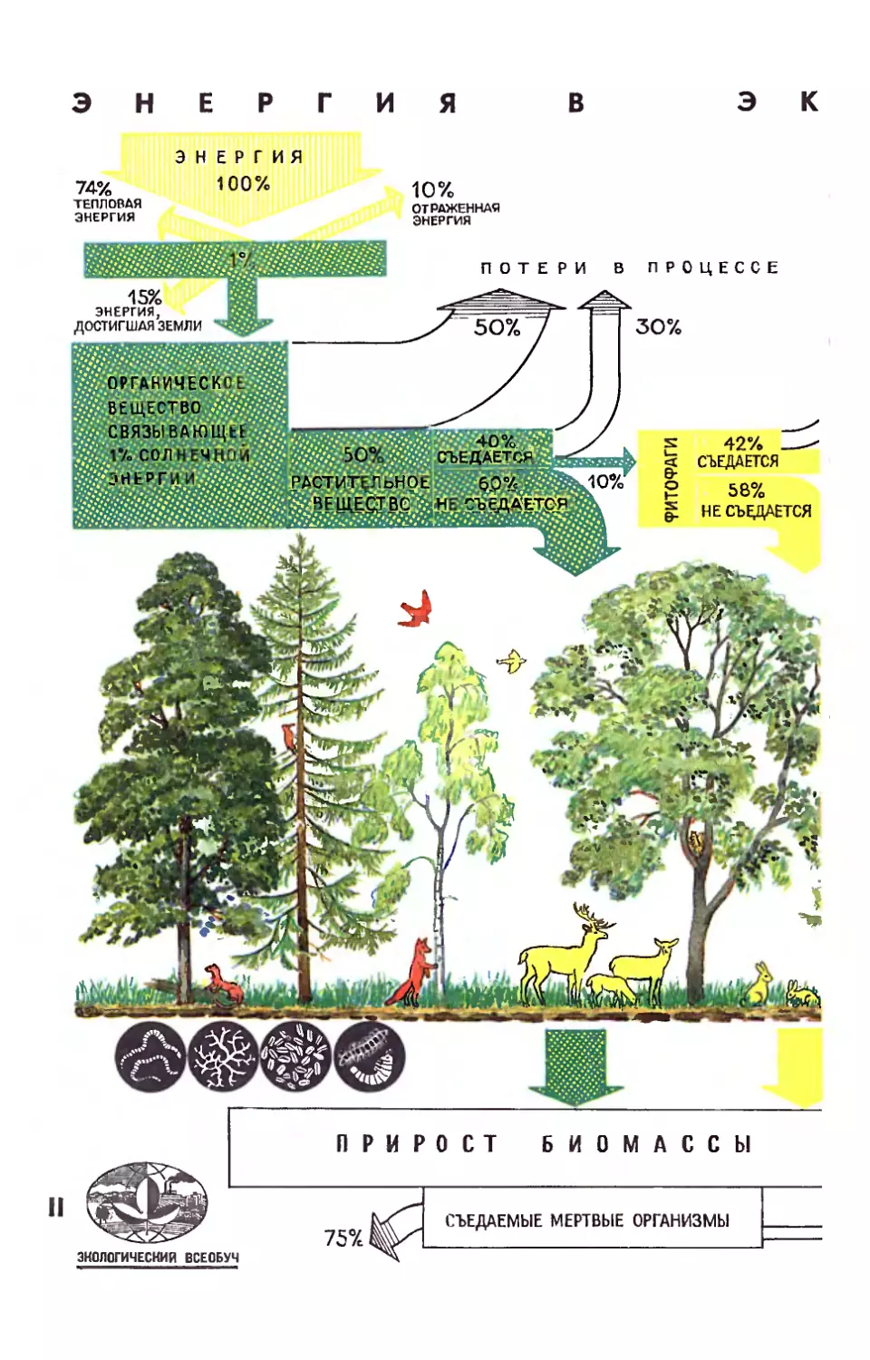 Рис. М. Аверьянова — Энергия в экосистеме.