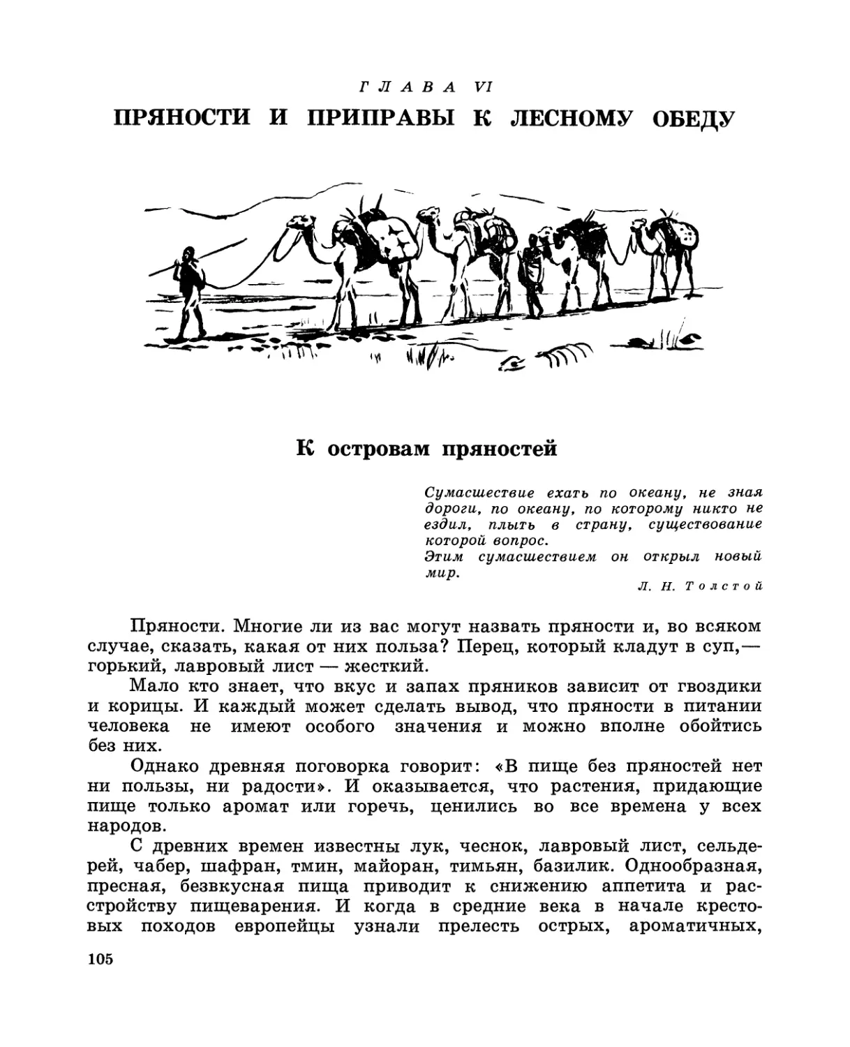 ГЛАВА VI. ПРЯНОСТИ И ПРИПРАВЫ К ЛЕСНОМУ ОБЕДУ