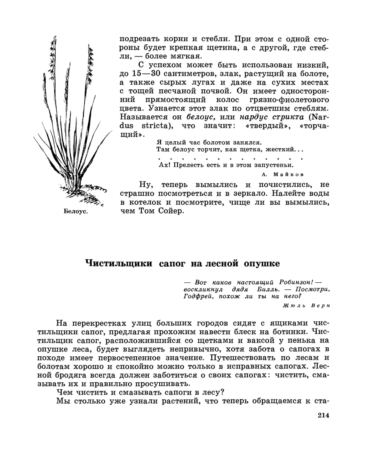 Чистильщики сапог на лесной опушке