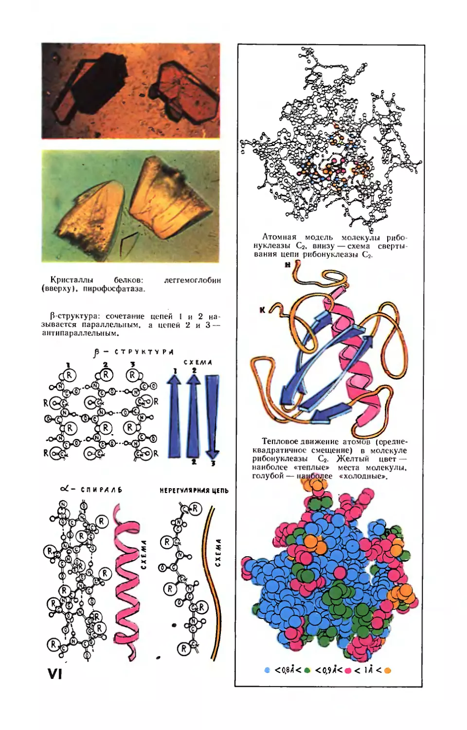 Рис. О. Рево — Строение белковых молекул.
Рис. О. Рево — Строение белковых молекул.