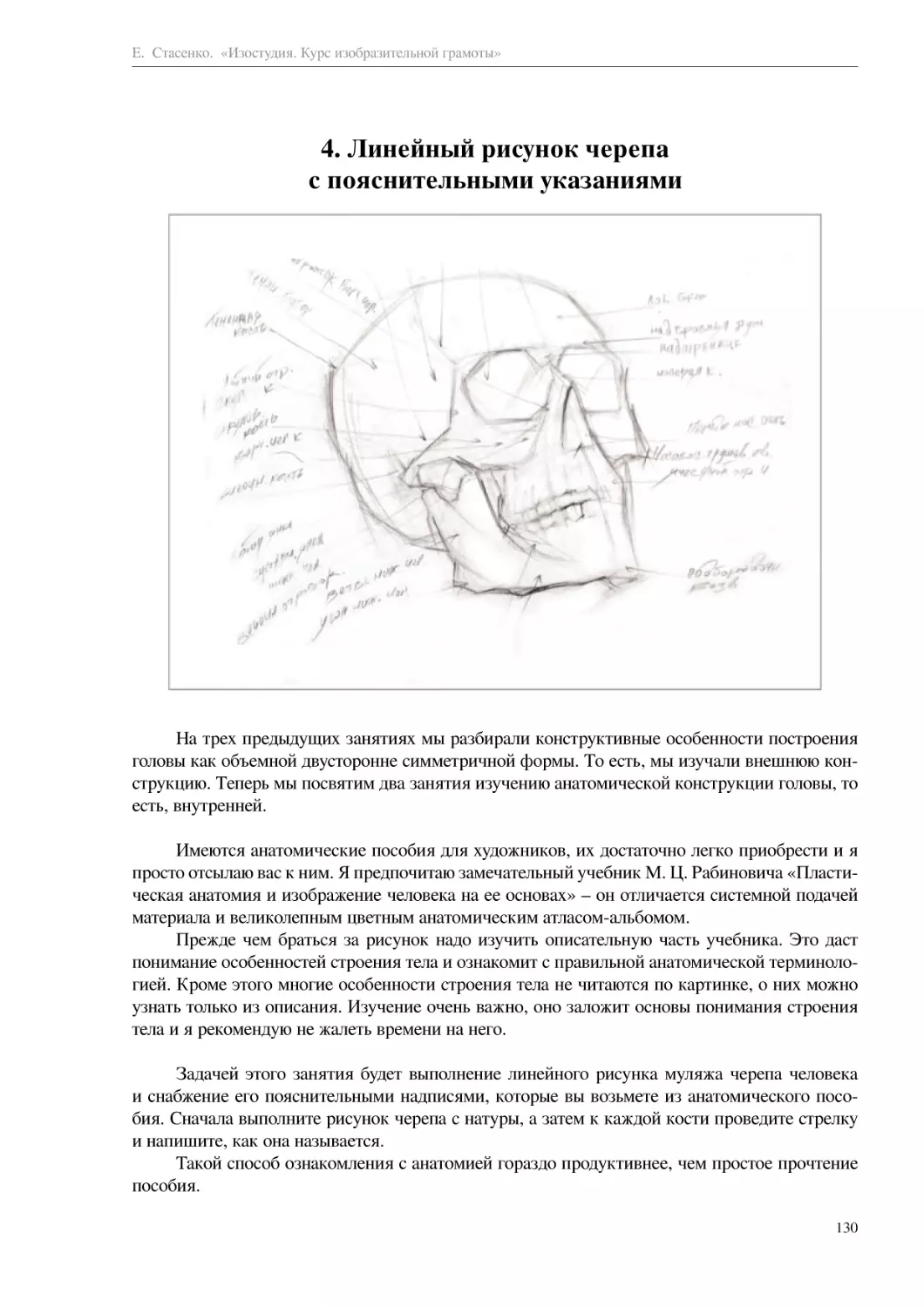 4. Линейный рисунок черепа с пояснительными указаниями