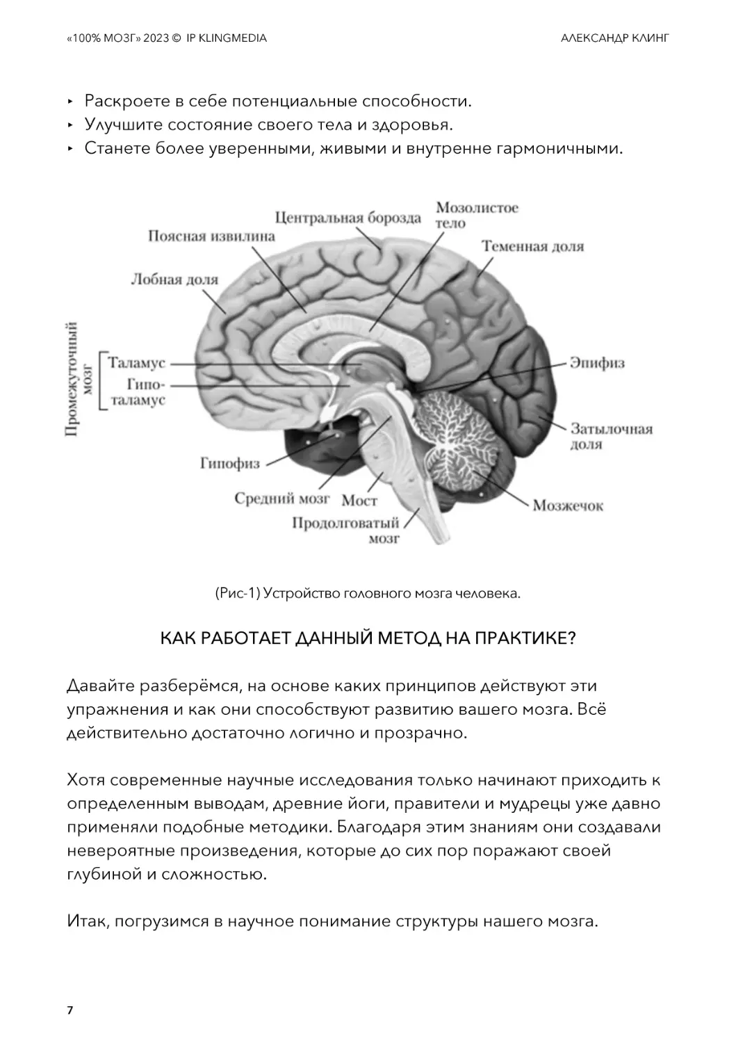 (Рис-1) Устройство головного мозга человека.