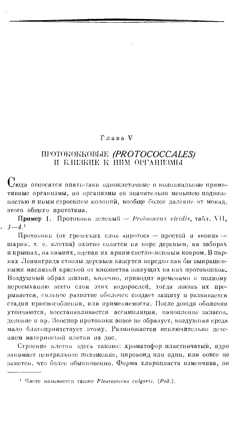 {340} Глава V. ПРОТОКОККОВЫЕ И БЛИЗКИЕ К НИМ ОРГАНИЗМЫ