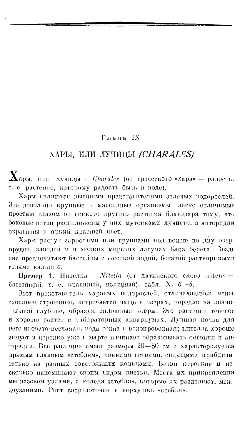 {379} Глава IX. ХАРЫ, ИЛИ ЛУЧИНЫ