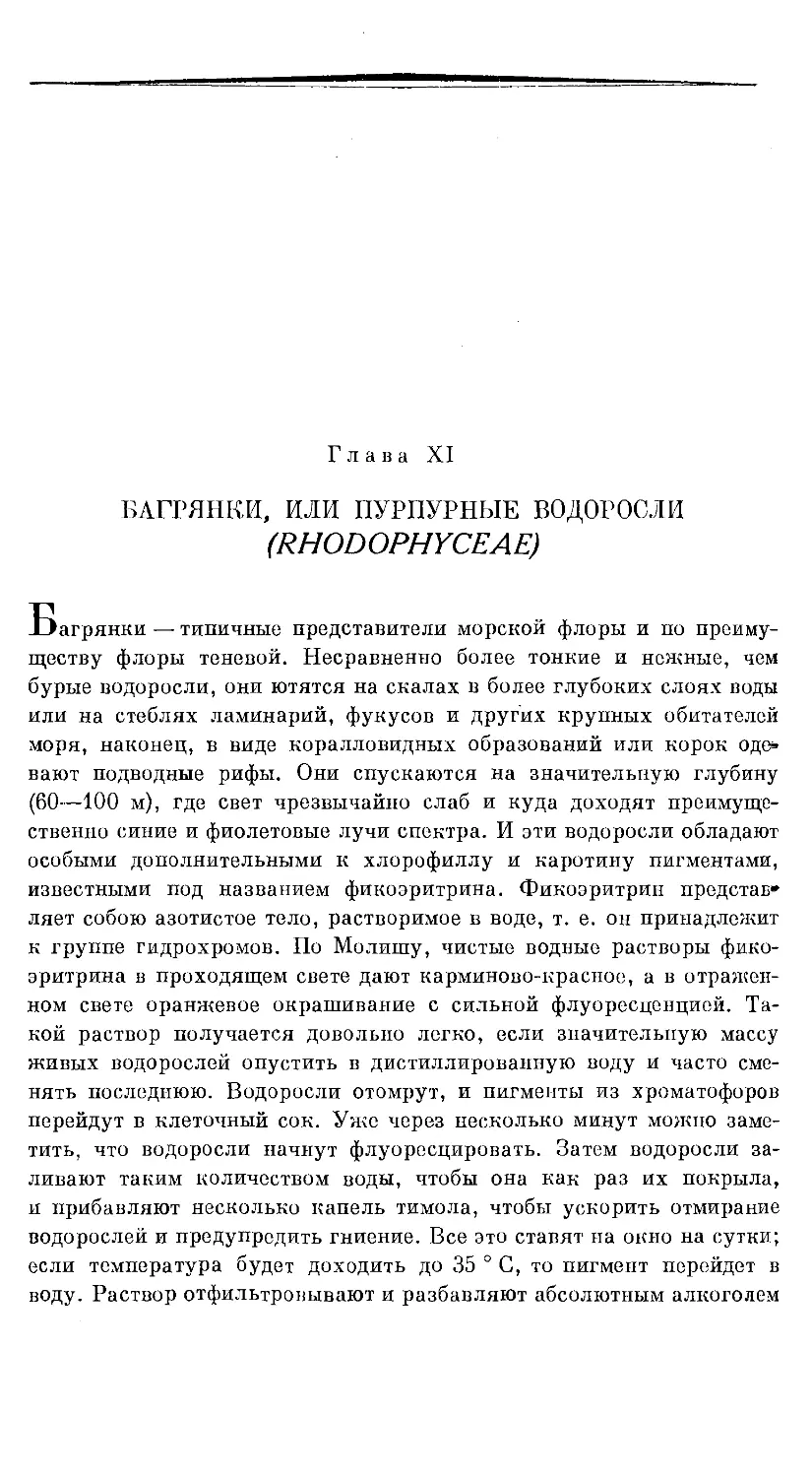 {400} Глава XI. БАГРЯНКИ, ИЛИ ПУРПУРНЫЕ ВОДОРОСЛИ