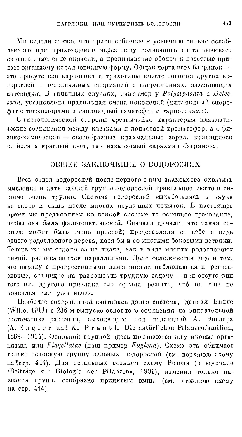 {415} ОБЩЕЕ ЗАКЛЮЧЕНИЕ О ВОДОРОСЛЯХ