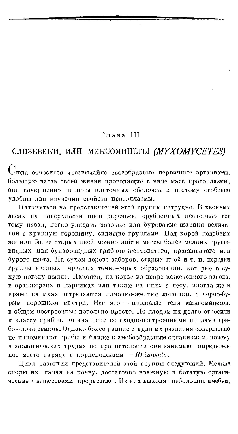 {436} Глава III. СЛИЗЕВИКИ, ИЛИ МИКСОМИЦЕТЫ