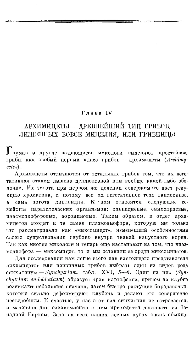 {444} Глава IV. АРХИМИЦЕТЫ — ДРЕВНЕЙШИЙ ТИП ГРИБОВ, ЛИШЕННЫХ ВОВСЕ МИЦЕЛИЯ ИЛИ ГРИБНИЦЫ