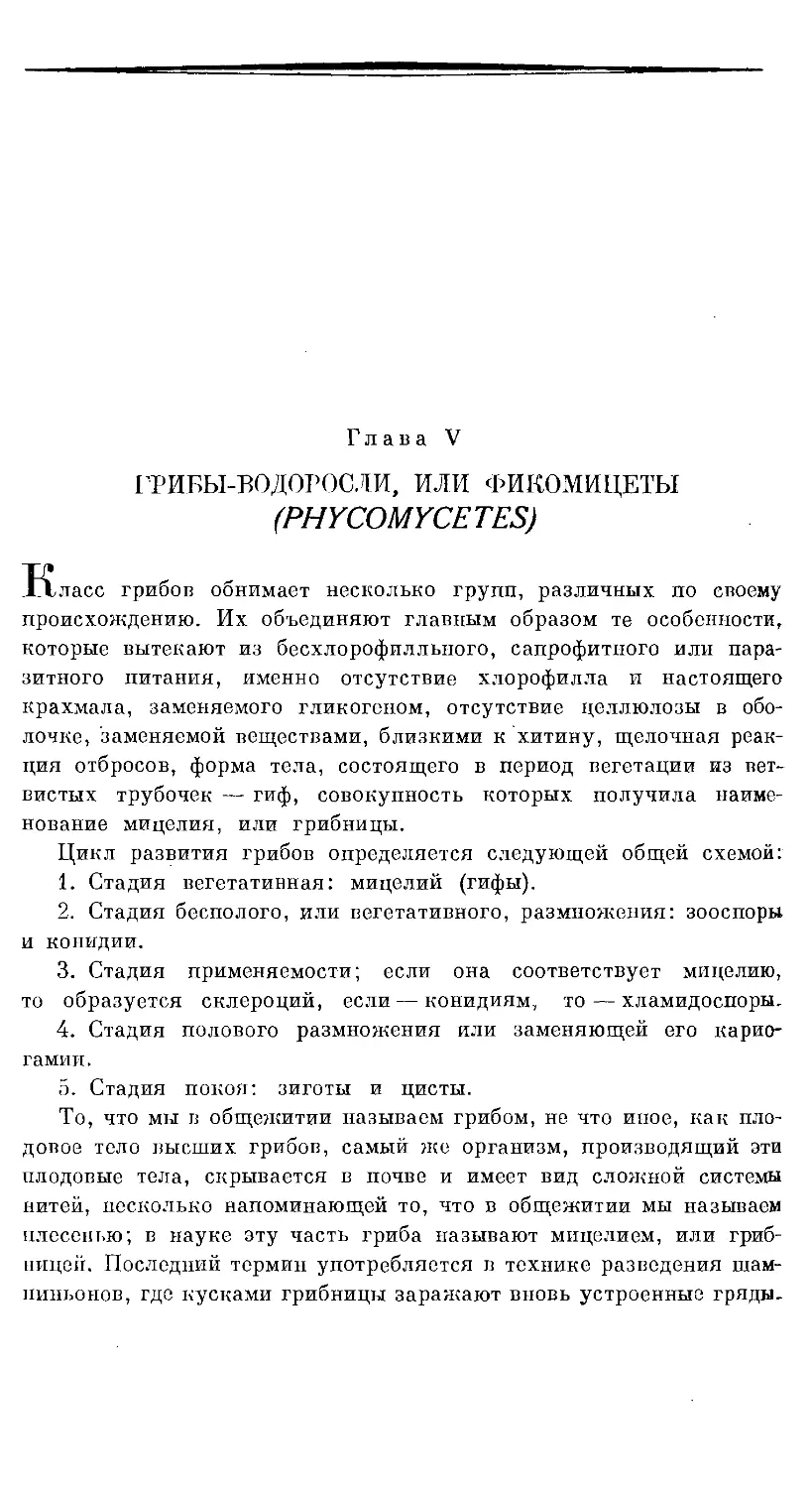 {446} Глава V. ГРИБЫ-ВОДОРОСЛИ, ИЛИ ФИКОМИЦЕТЫ