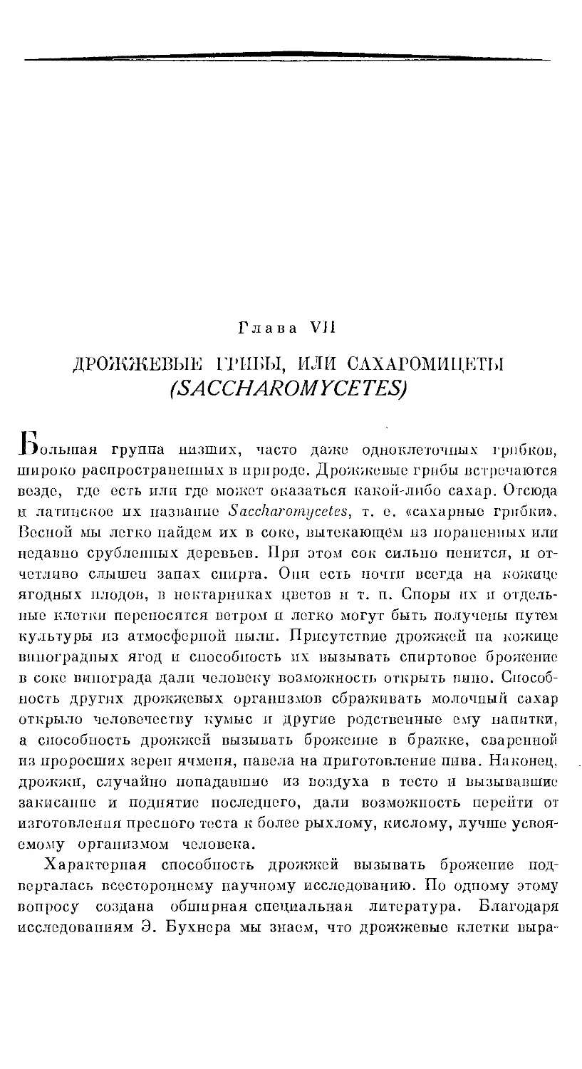 {466} Глава VII. ДРОЖЖЕВЫЕ ГРИБЫ, ИЛИ САХАРОМИЦЕТЫ