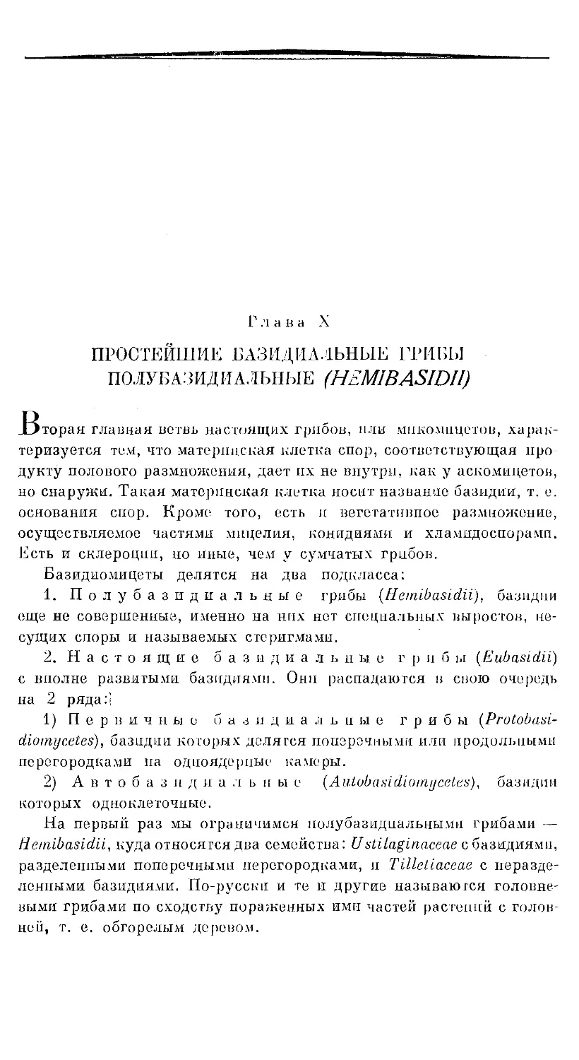 {488} Глава X. ПРОСТЕЙШИЕ БАЗИДИАЛЬНЫЕ ГРИБЫ — ПОЛУБАЗИДИАЛЬНЫЕ