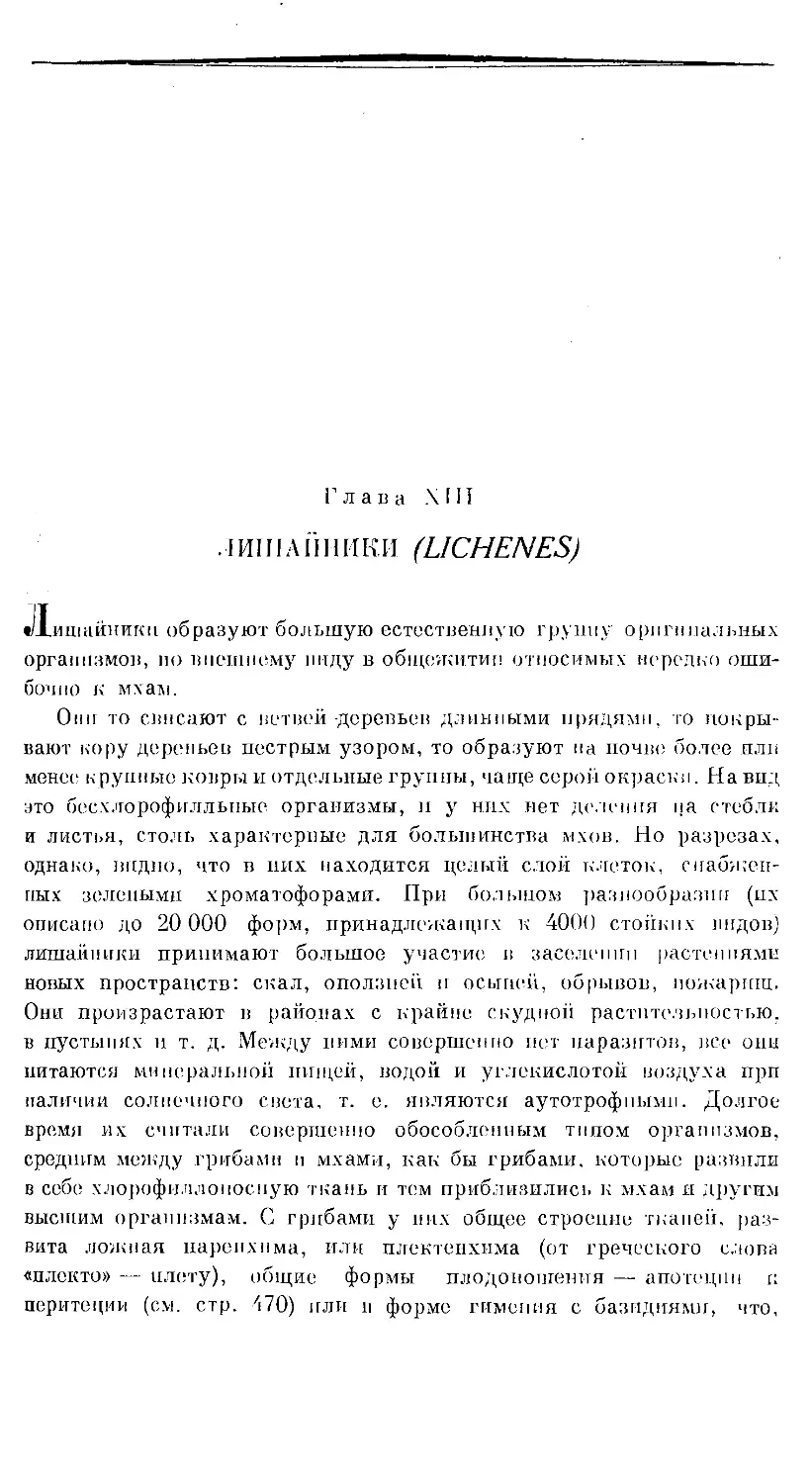 {513} Глава XIII. ЛИШАЙНИКИ