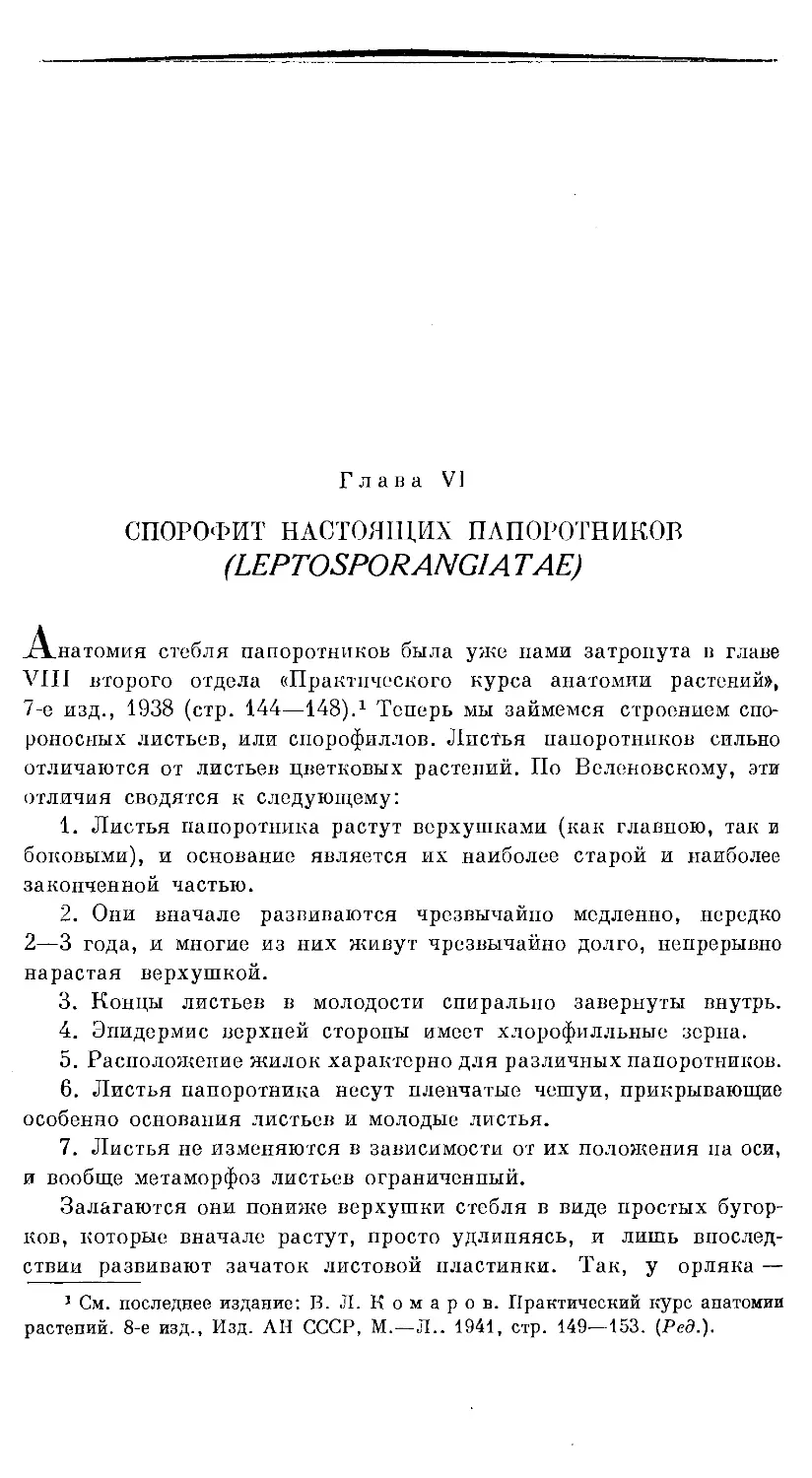 {562} Глава VI. СПОРОФИТ НАСТОЯЩИХ ПАПОРОТНИКОВ