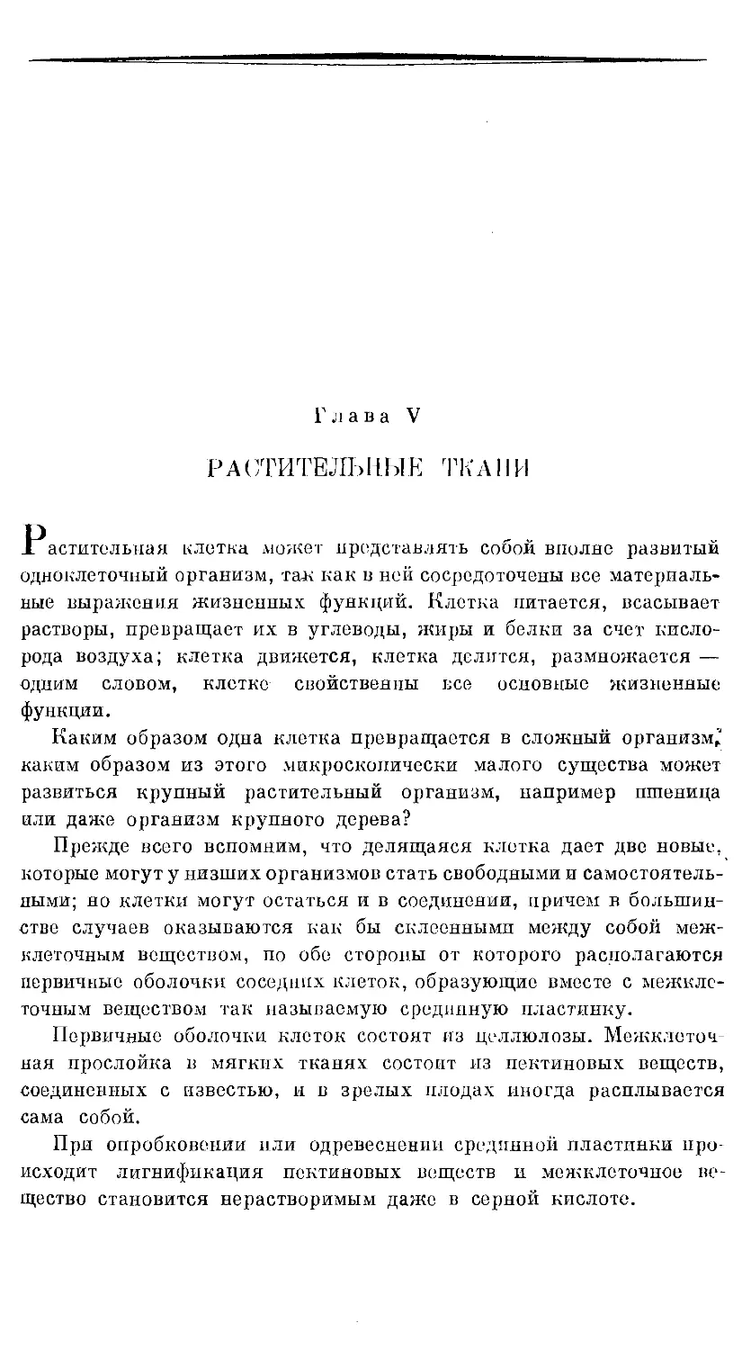 {729} Глава V. РАСТИТЕЛЬНЫЕ ТКАНИ