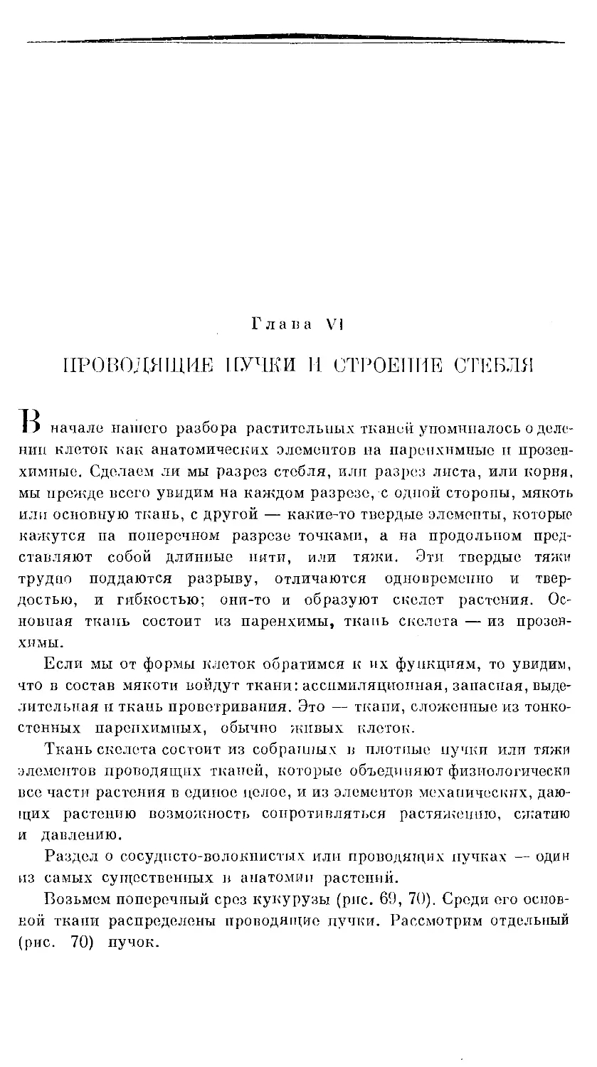 {776} Глава VI. ПРОВОДЯЩИЕ ПУЧКИ И СТРОЕНИЕ СТЕБЛЯ