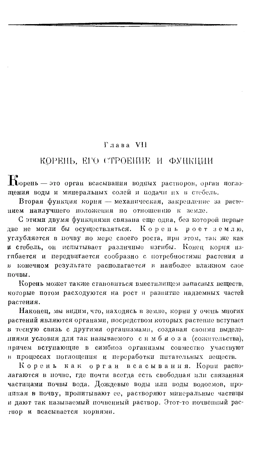 {808} Глава VII. КОРЕНЬ. ЕГО СТРОЕНИЕ И ФУНКЦИИ