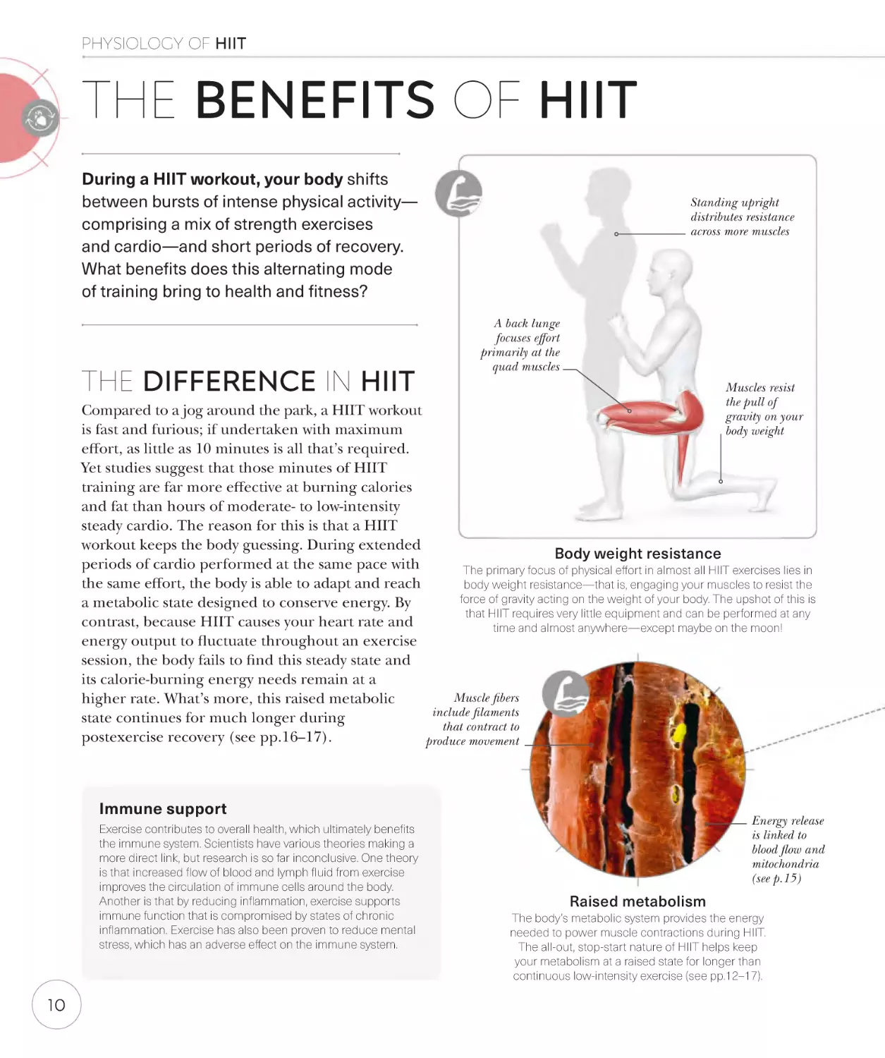 The benefits of HIIT 10