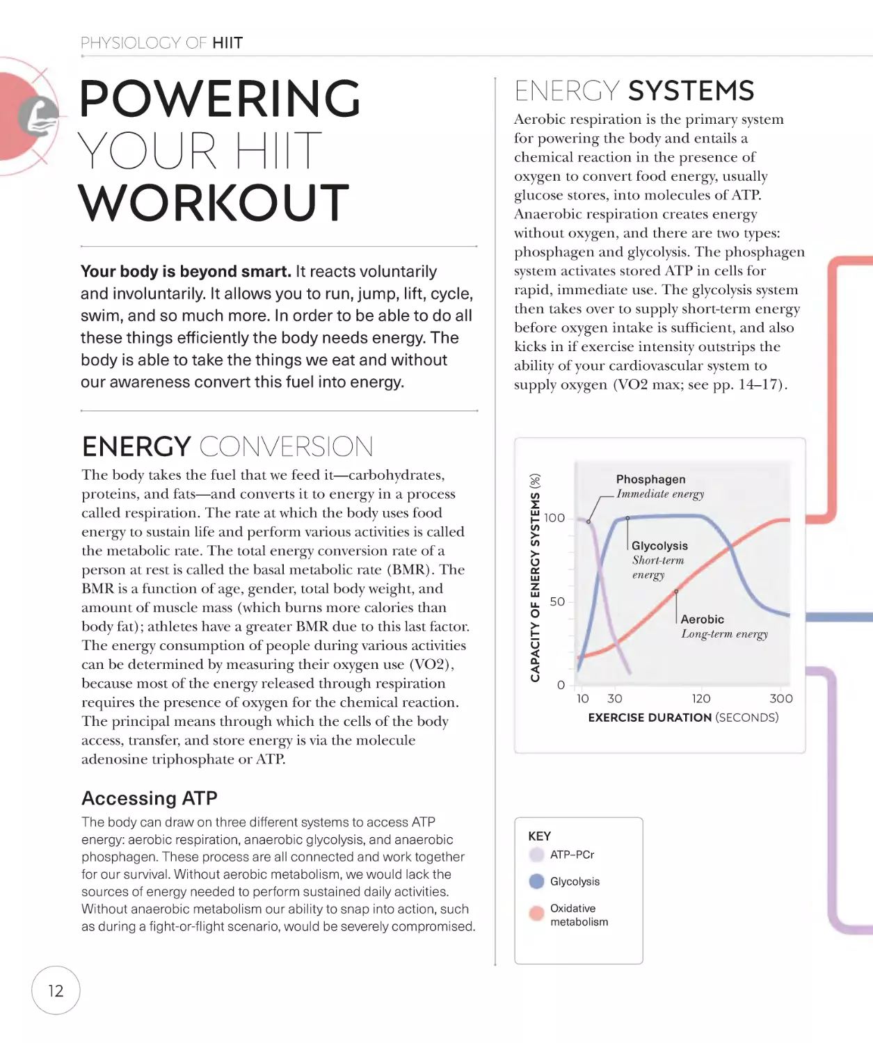 Powering your HIIT workout 12