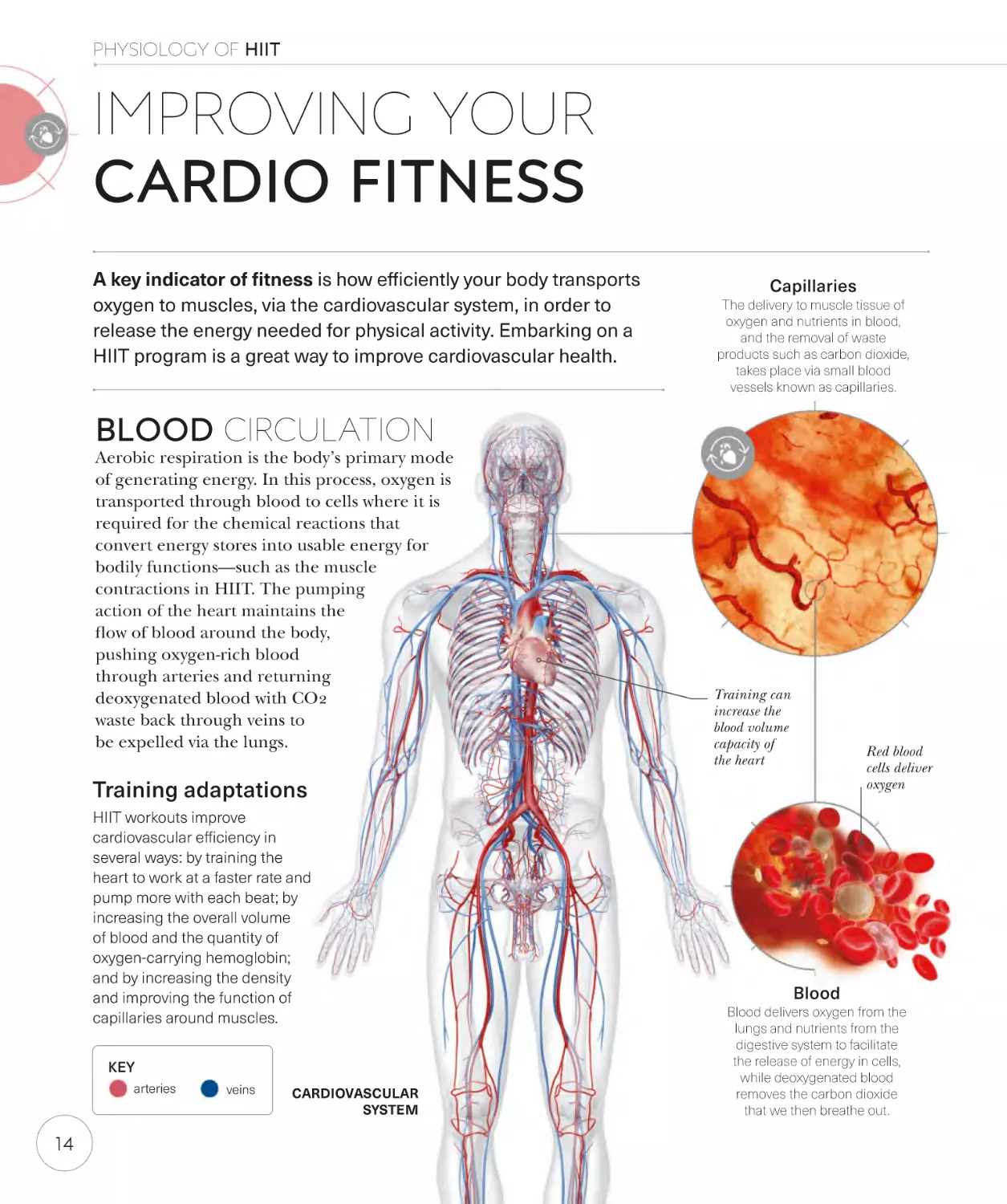 Improving your cardio fitness 14