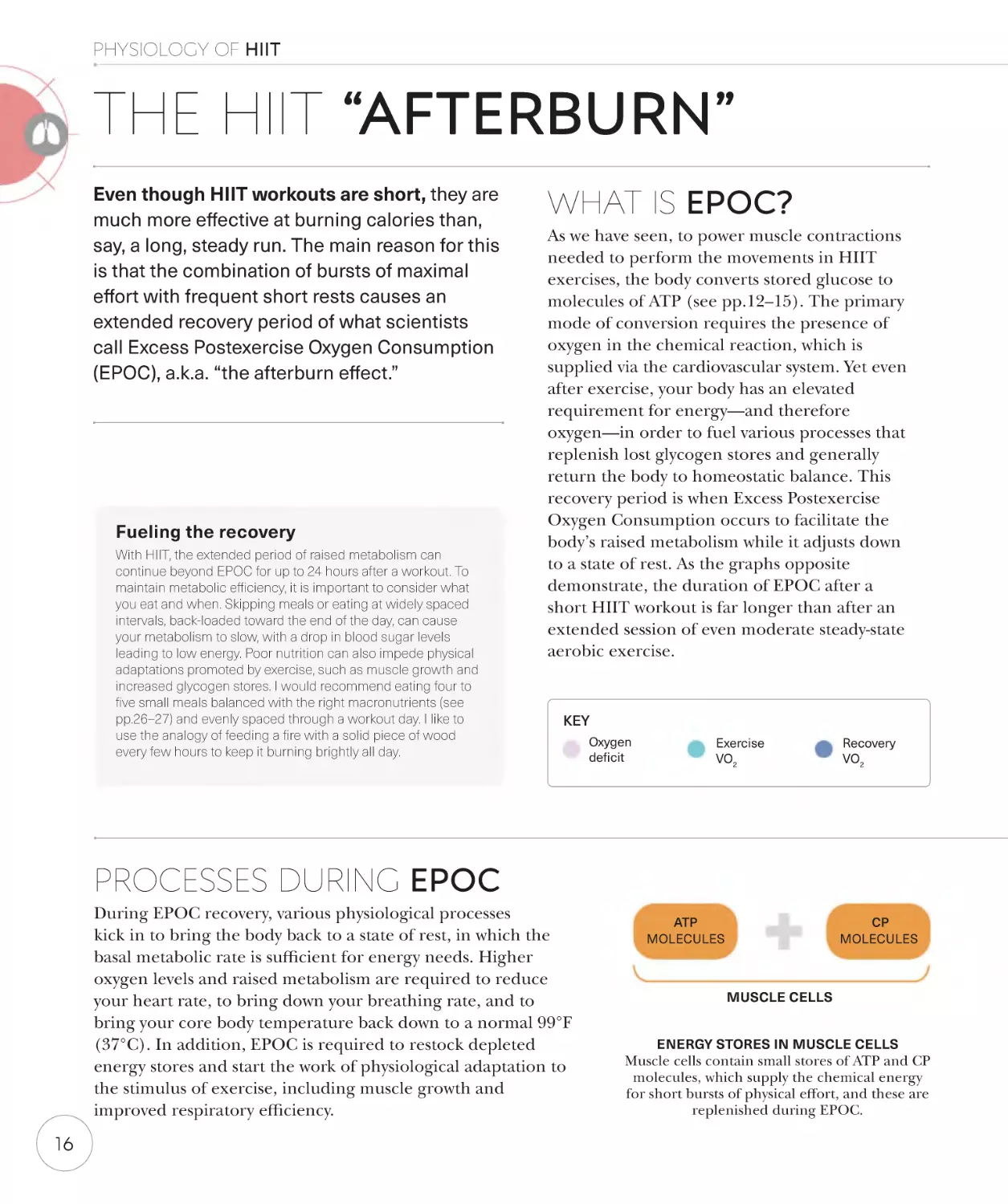 The HIIT “afterburn” 16