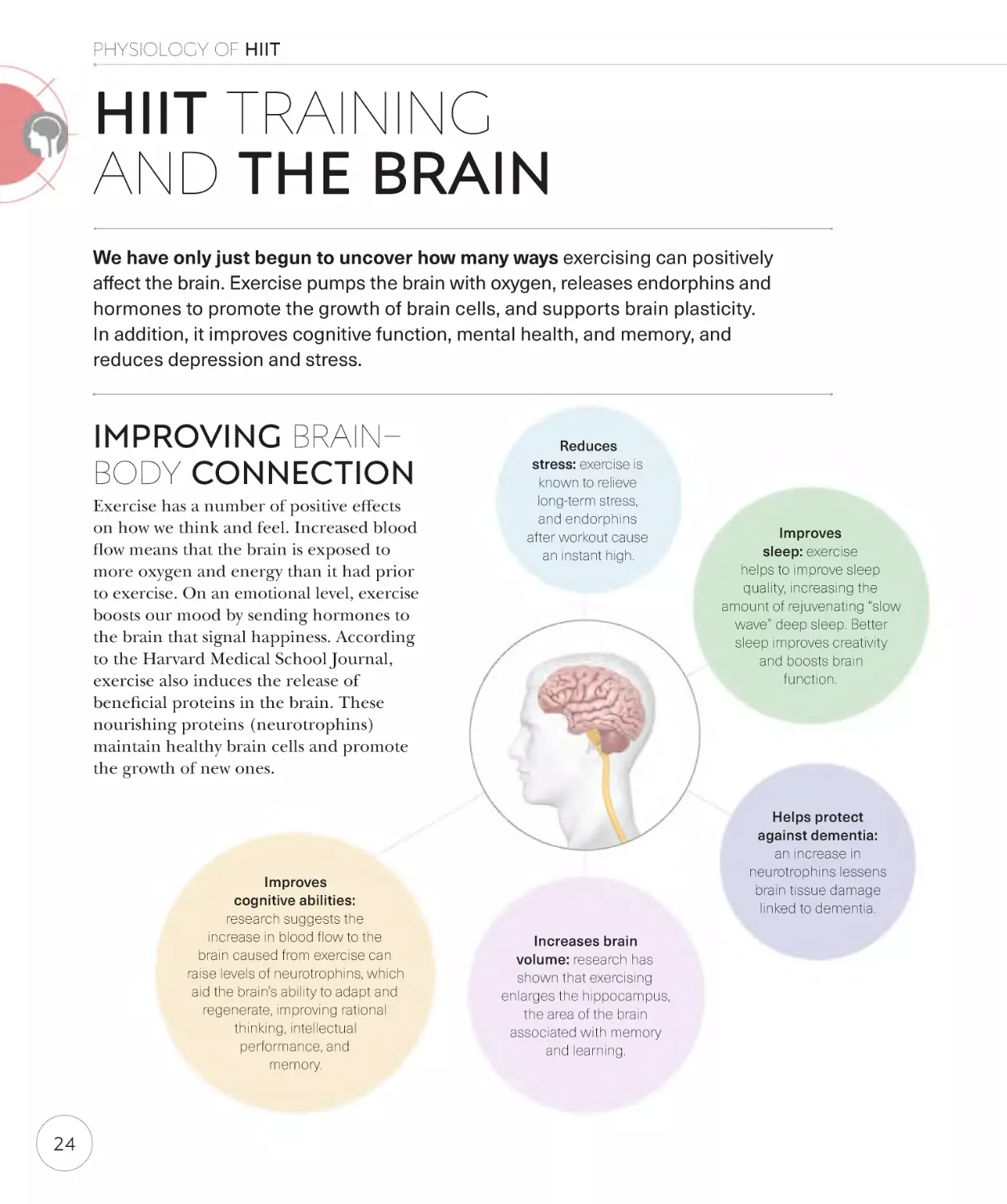 HIIT training and the brain 24