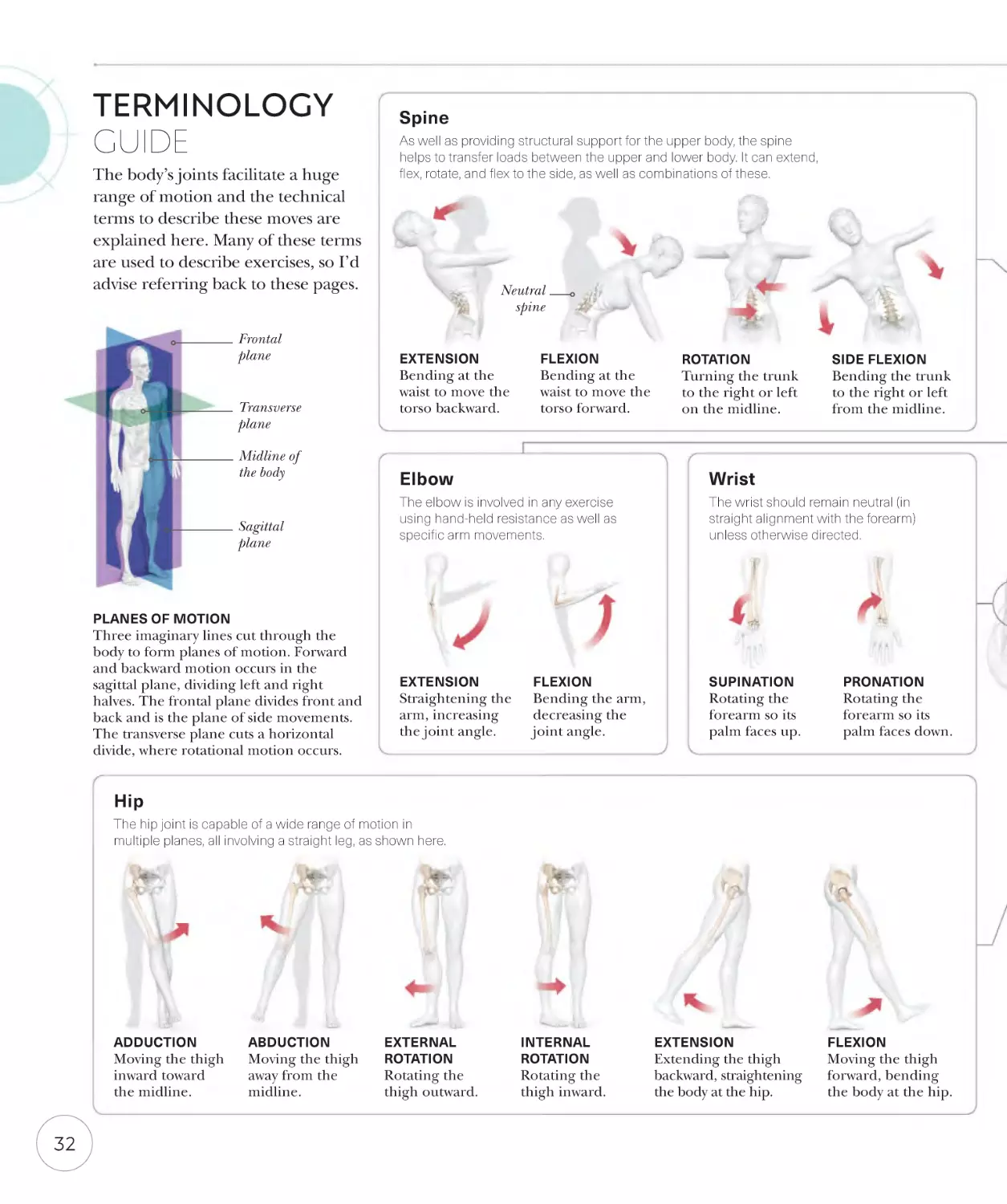 Terminology guide