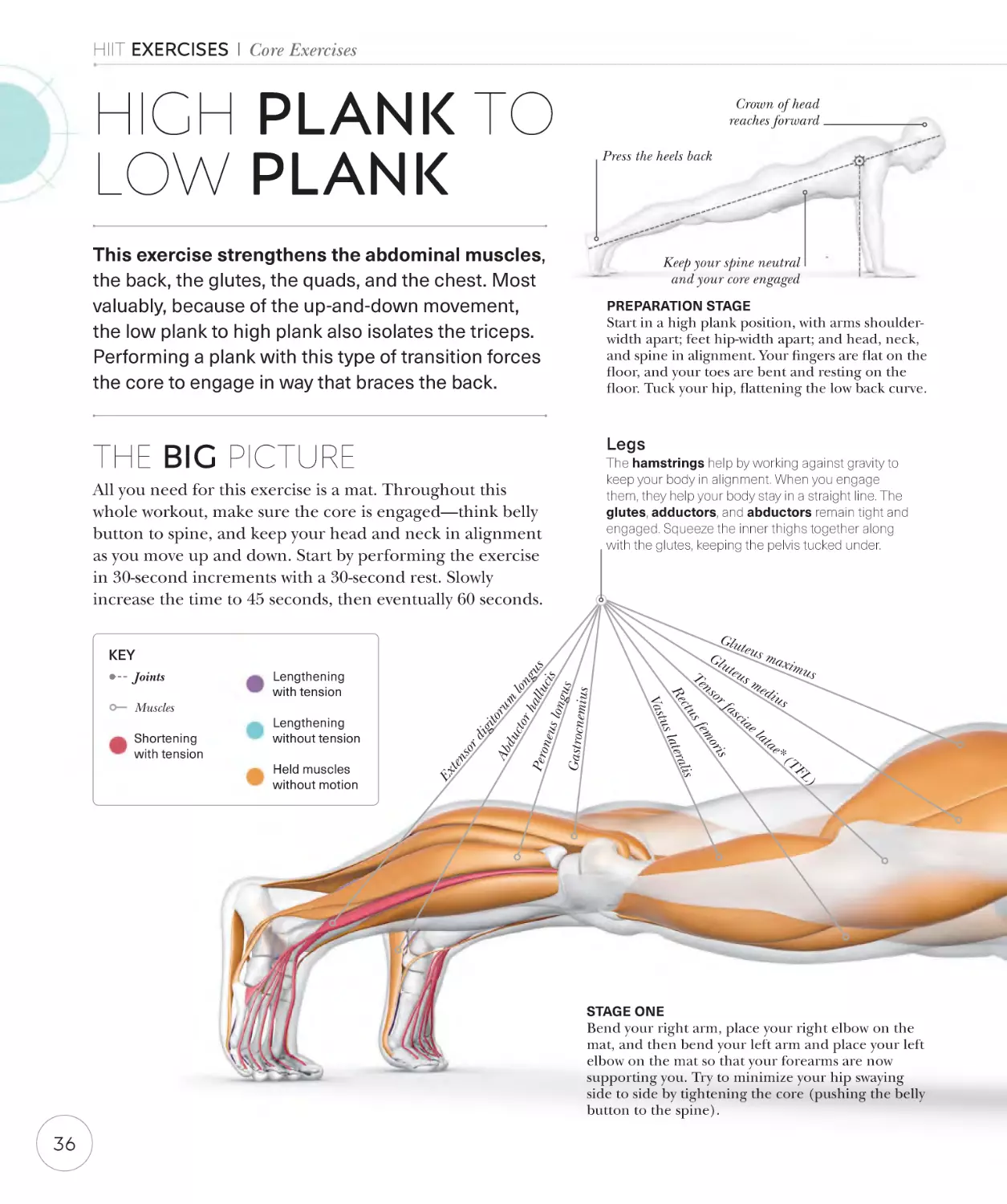 High plank to low plank