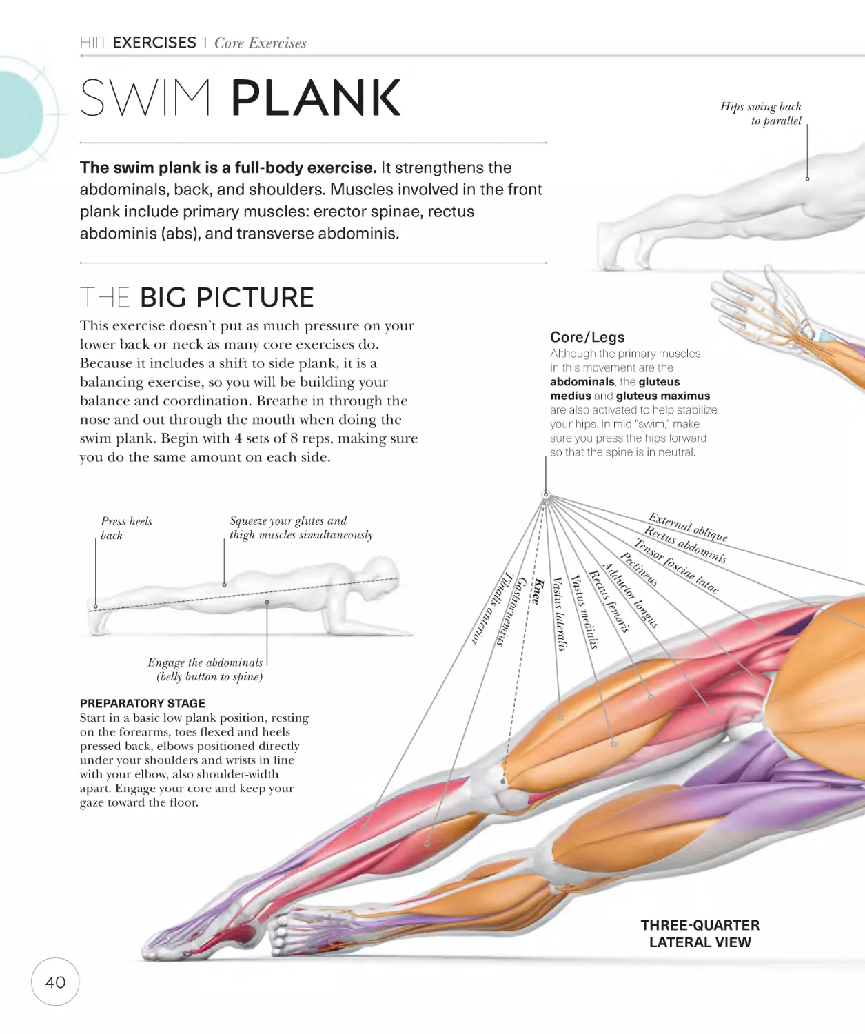 Swim plank