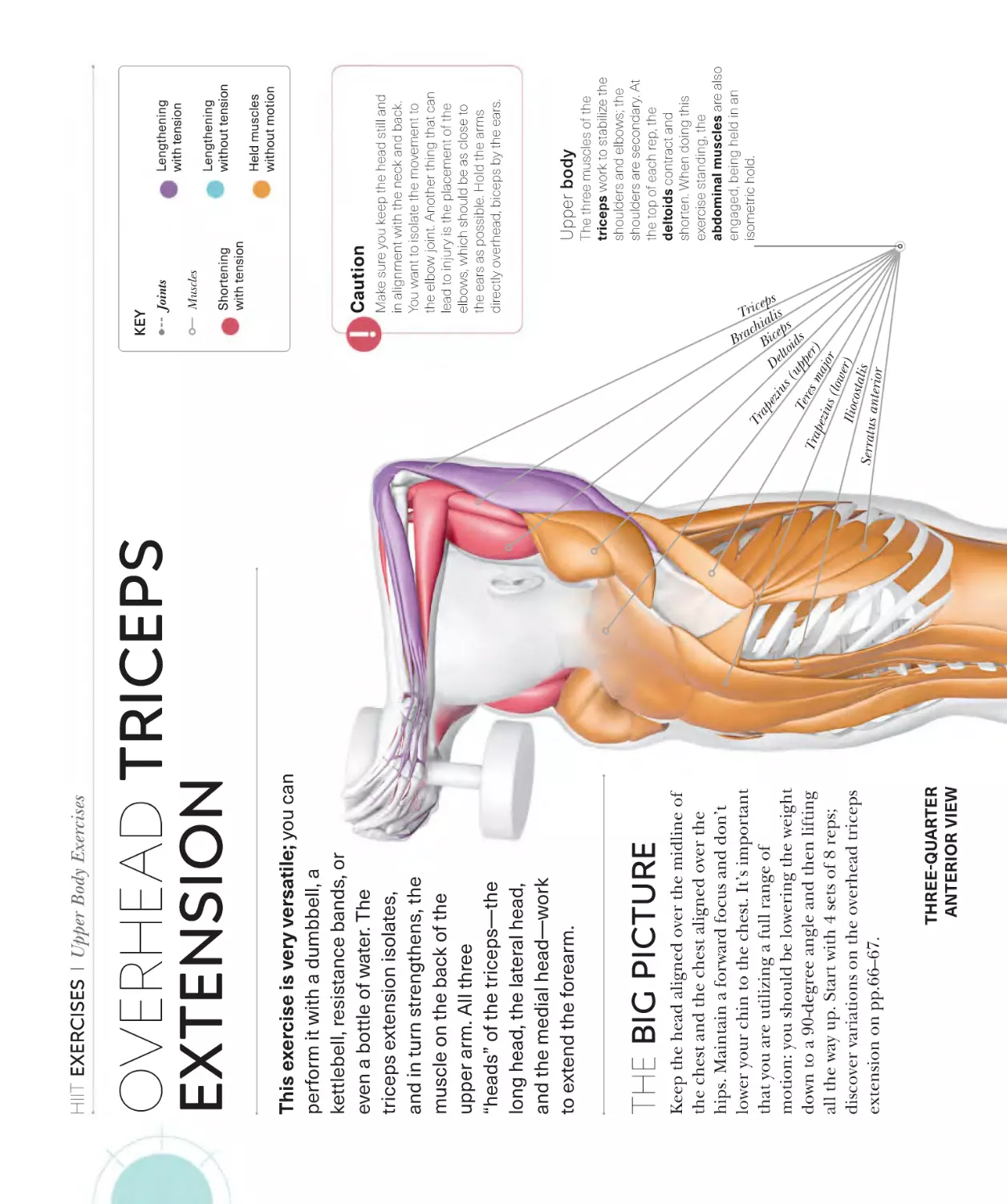 Overhead triceps extension