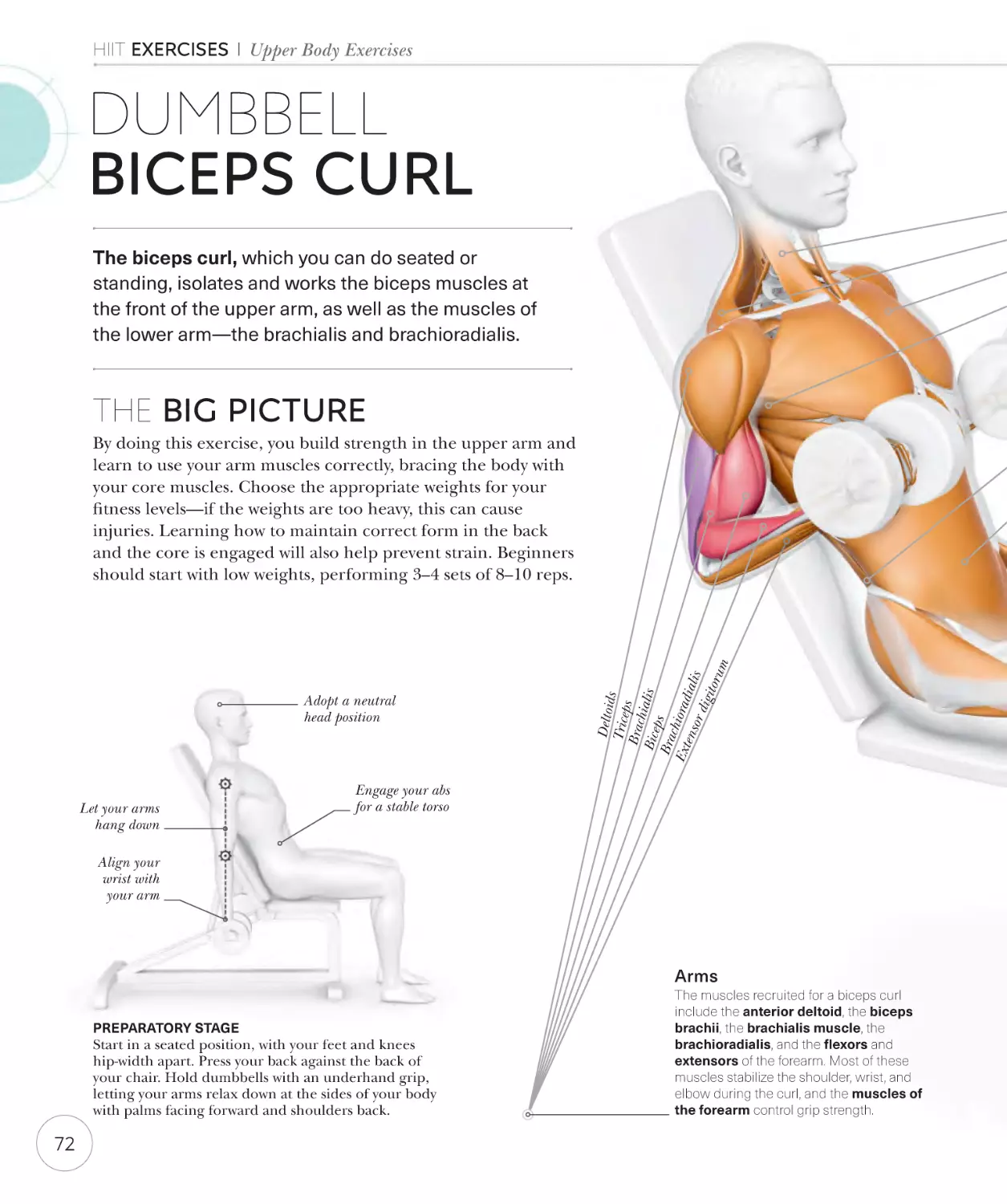 Dumbbell biceps curl