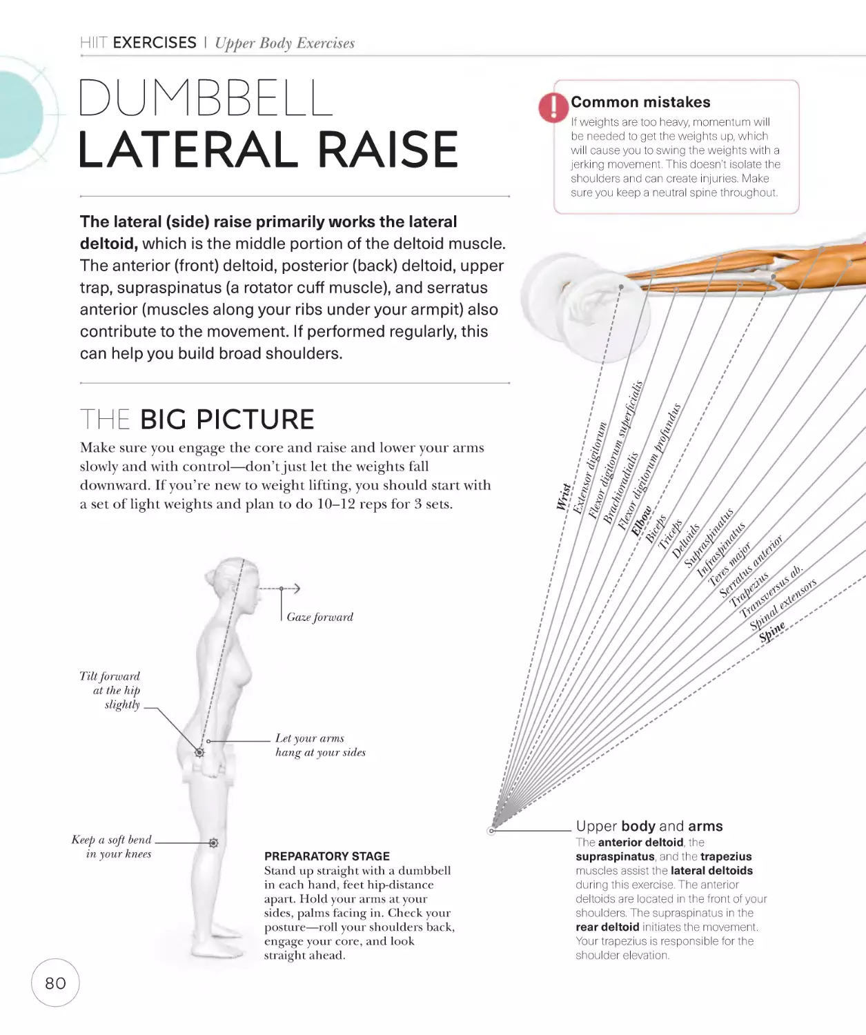 Dumbbell lateral raise